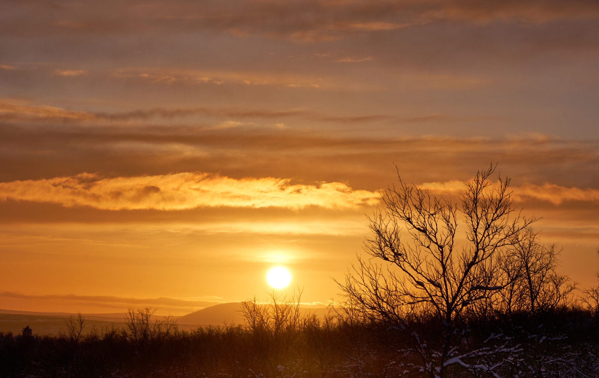 Valokuvaaja: Tarja Kouvo
