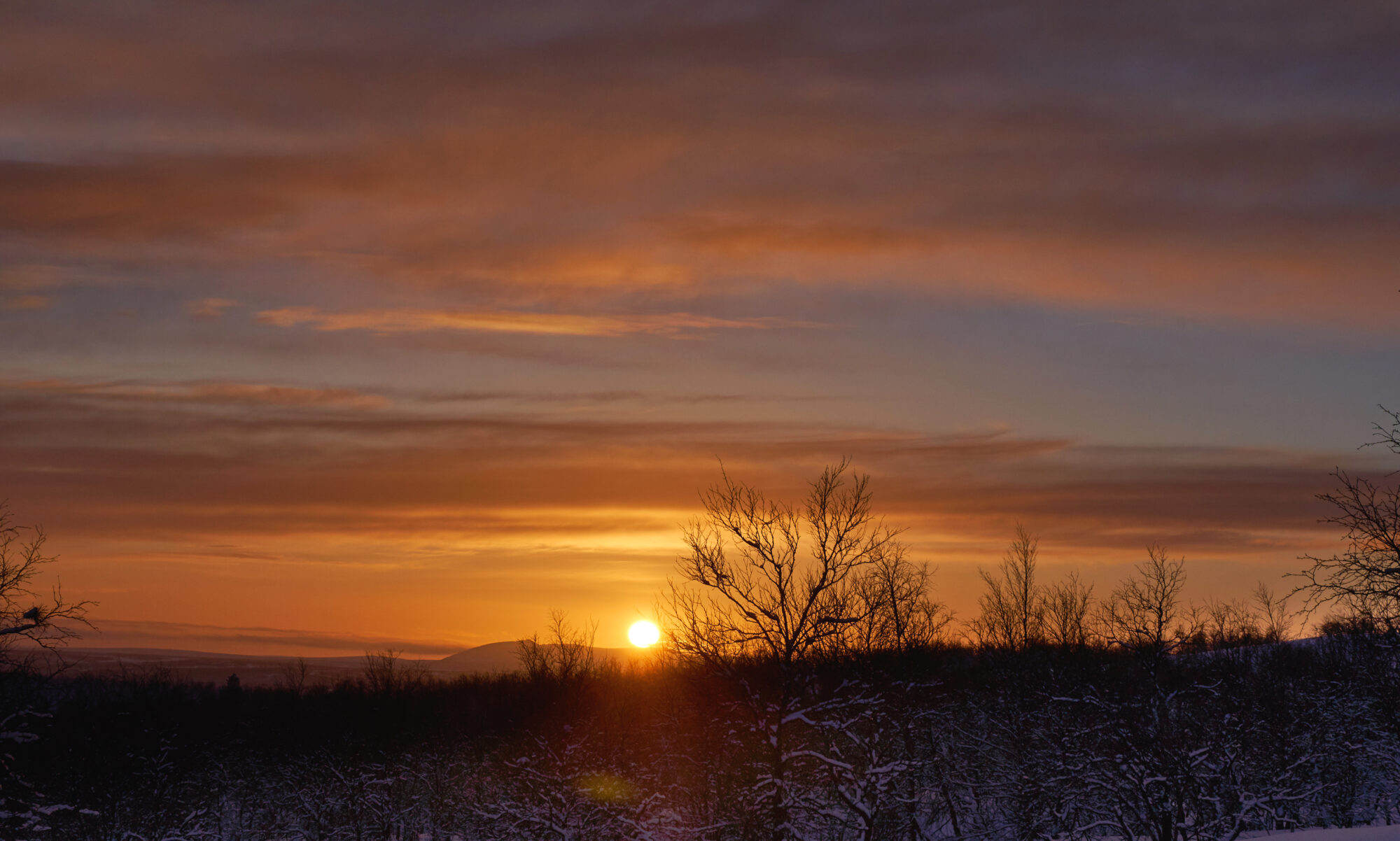 Valokuvaaja: Tarja Kouvo