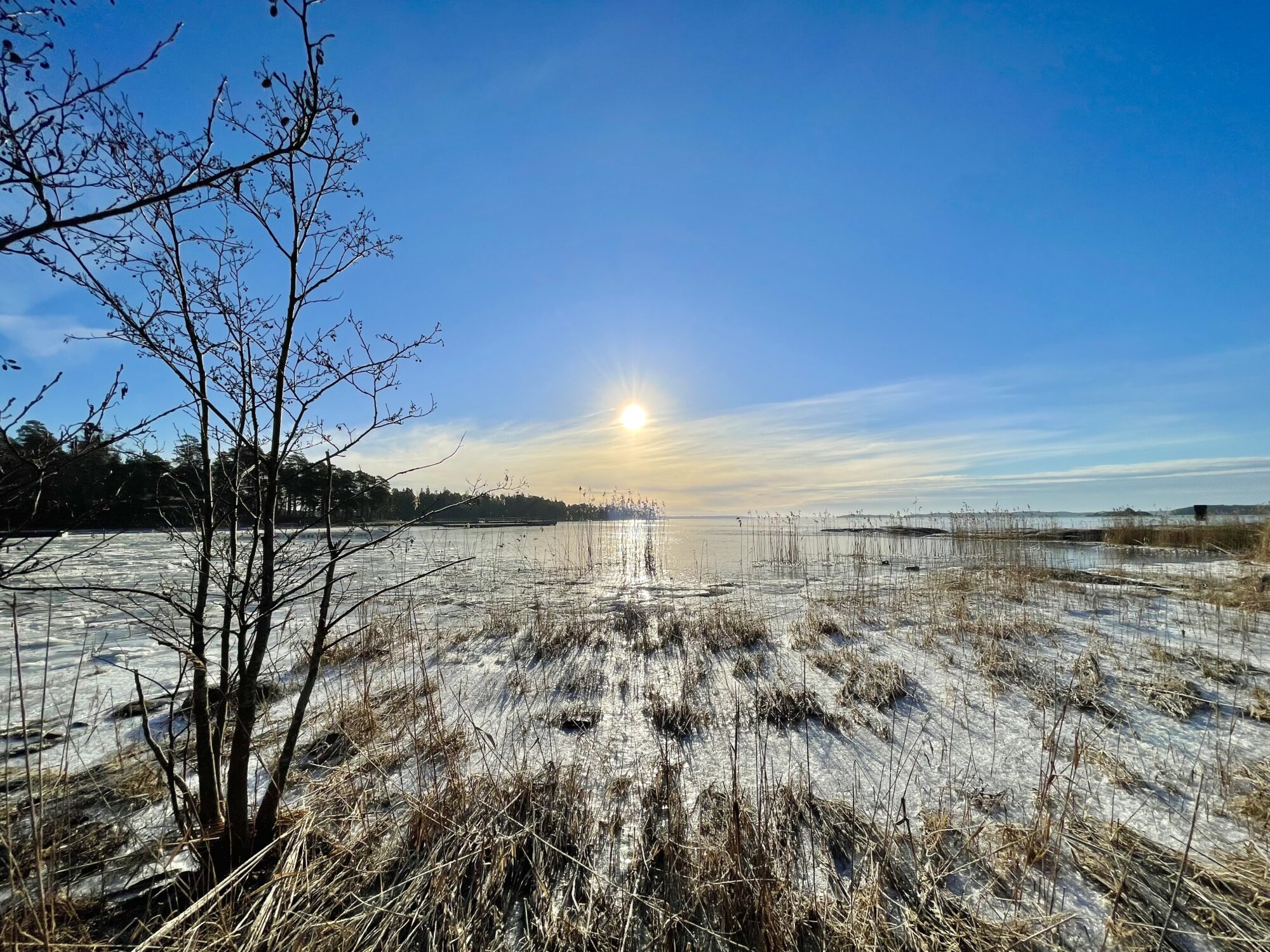 Valokuvaaja: Juhani Peltonen