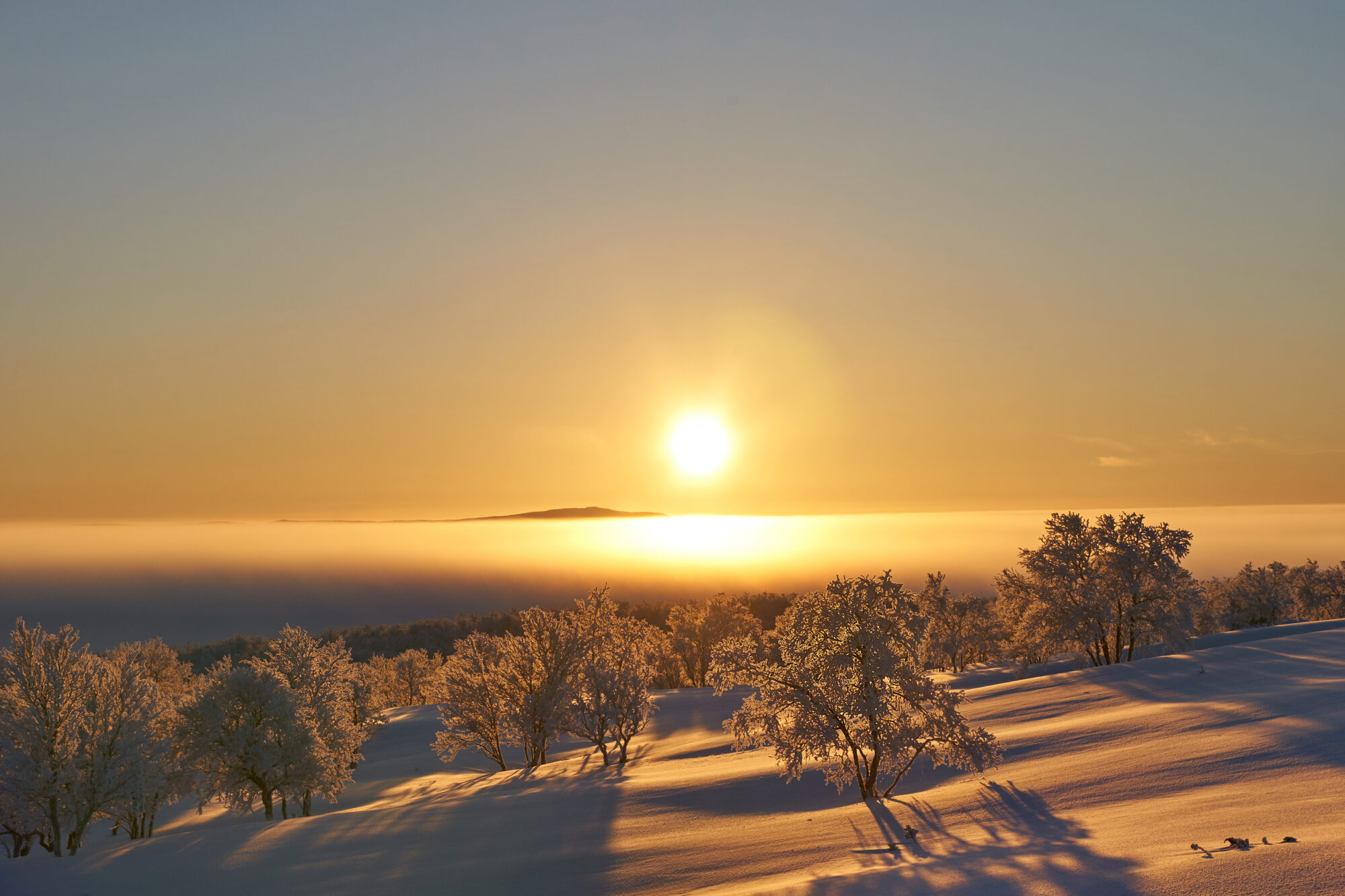 Valokuvaaja: Tarja Kouvo