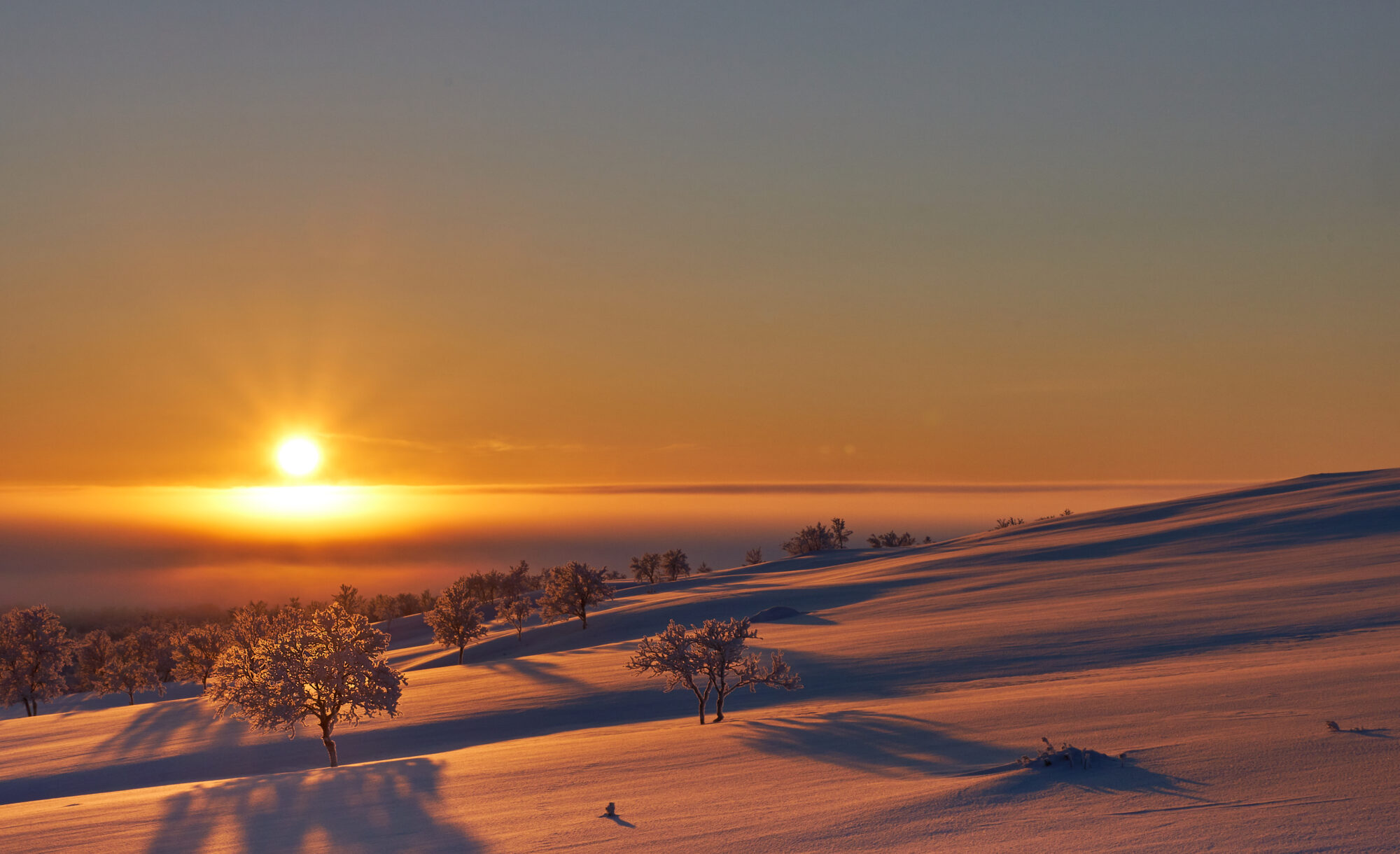 Valokuvaaja: Tarja Kouvo