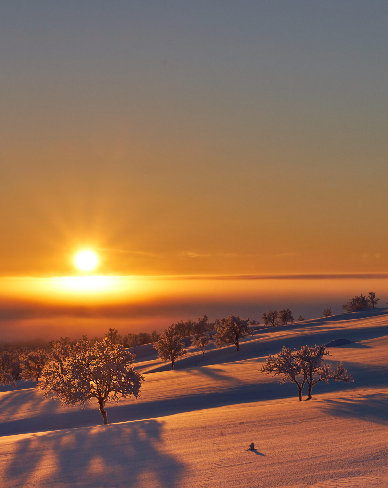 Valokuvaaja: Tarja Kouvo