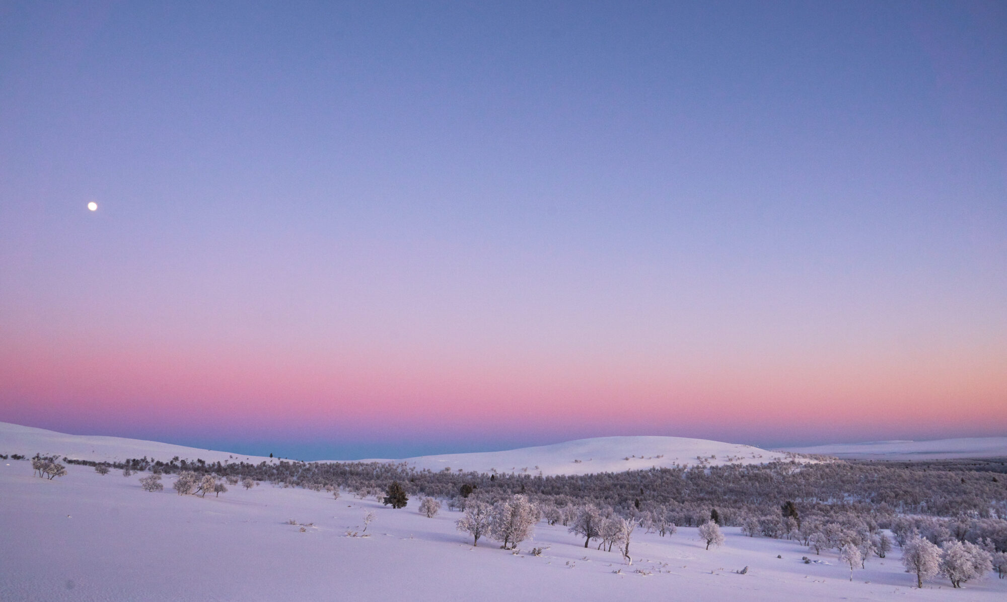 Valokuvaaja: Tarja Kouvo