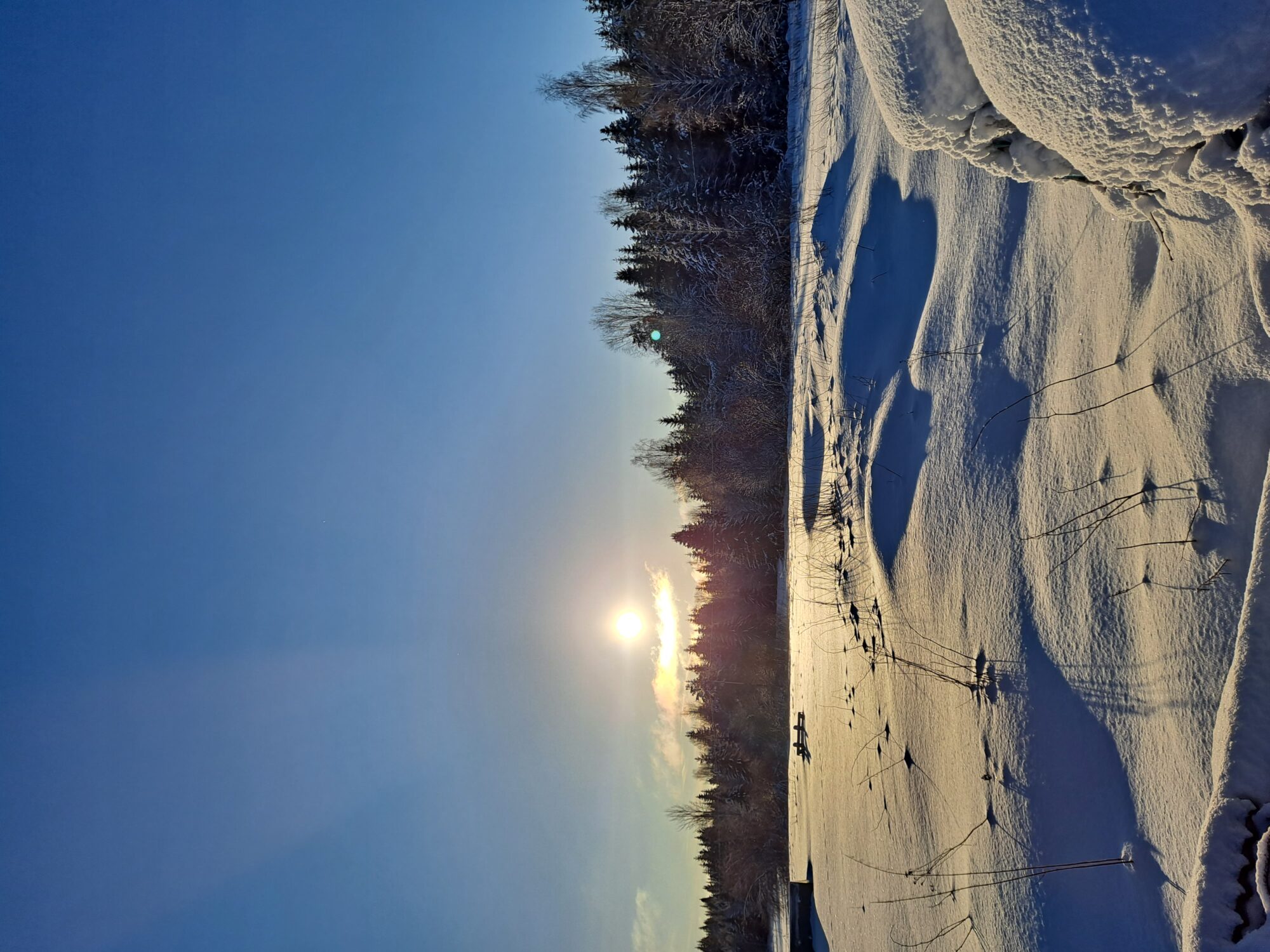 Valokuvaaja: Hannu Rissanen