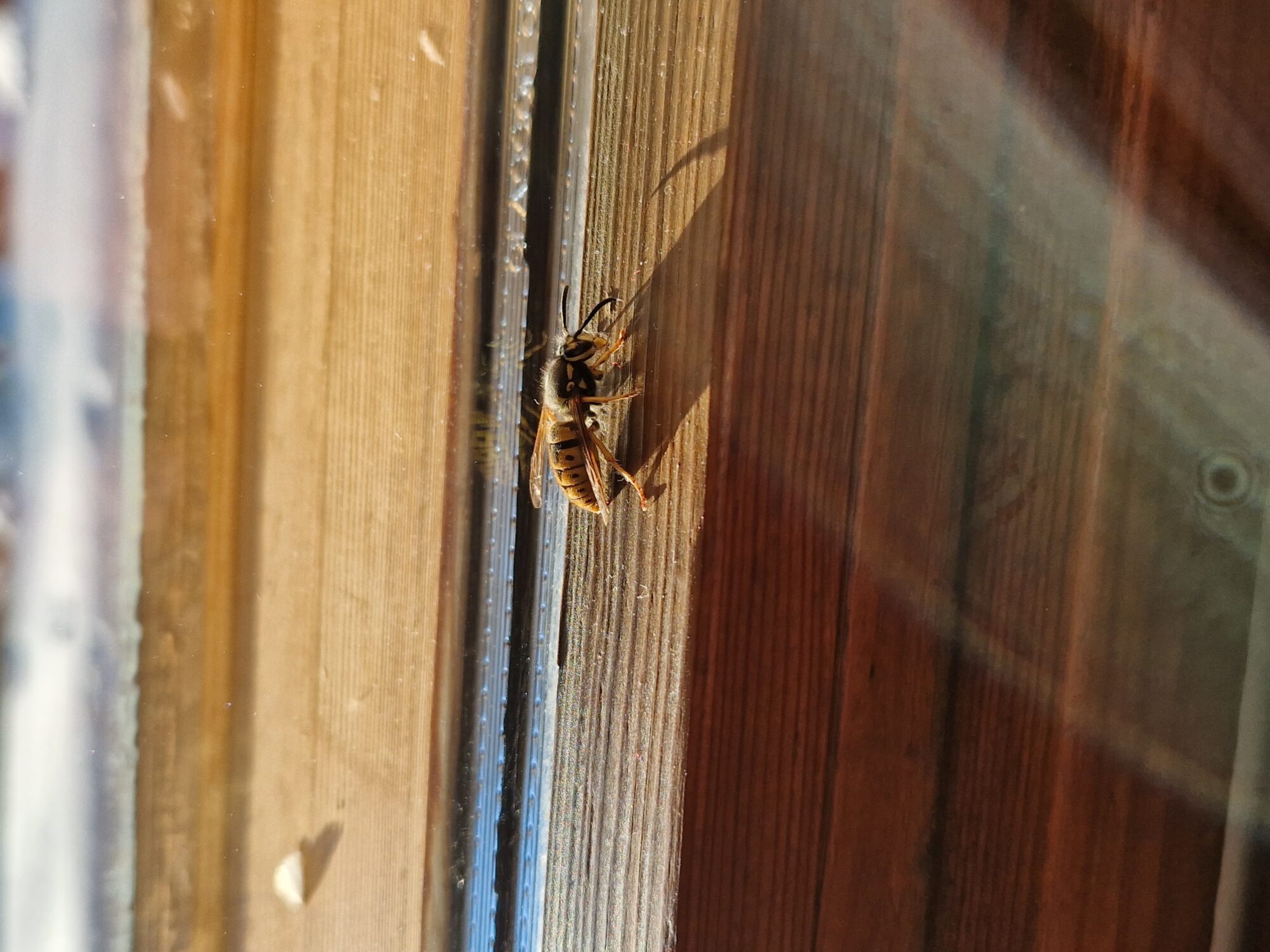 Valokuvaaja: Tamminen