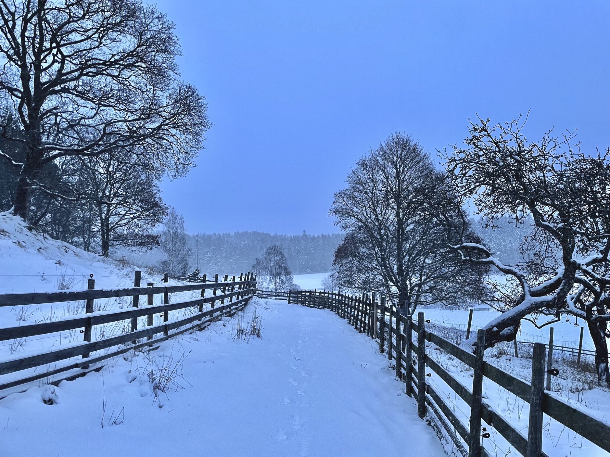 Valokuvaaja: Juhani Peltonen