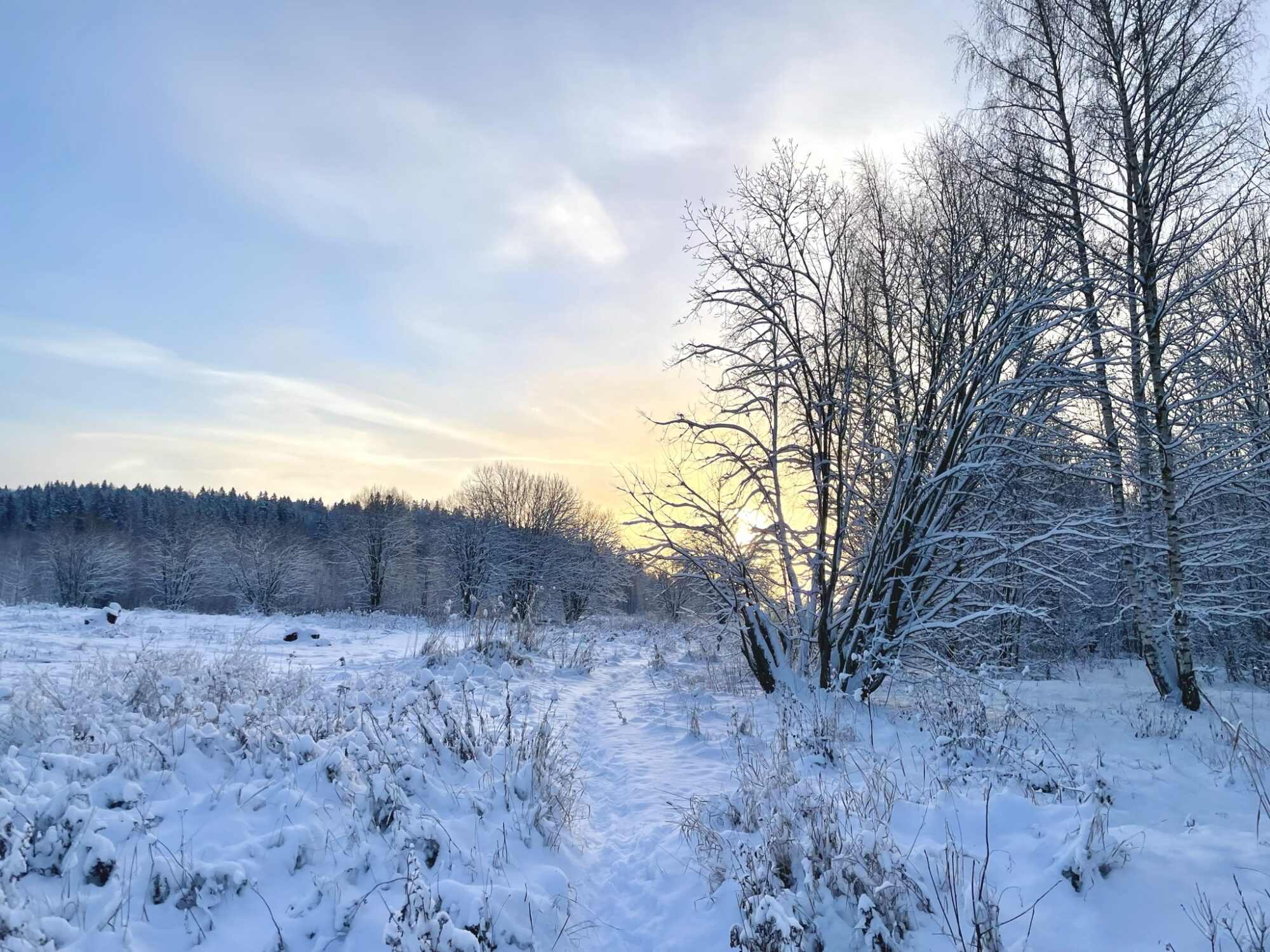 Valokuvaaja: Juhani Peltonen
