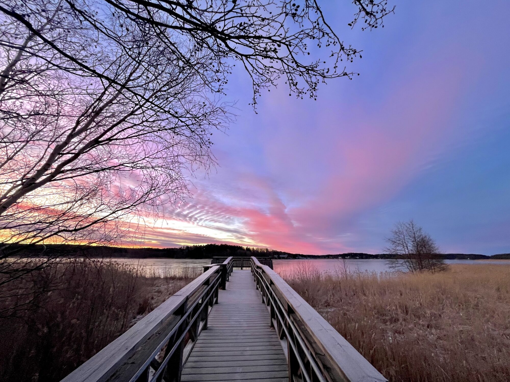 Valokuvaaja: Juhani Peltonen