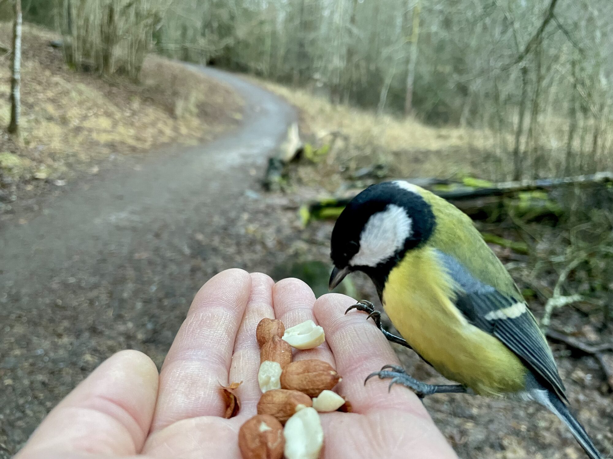 Valokuvaaja: Juhani Peltonen