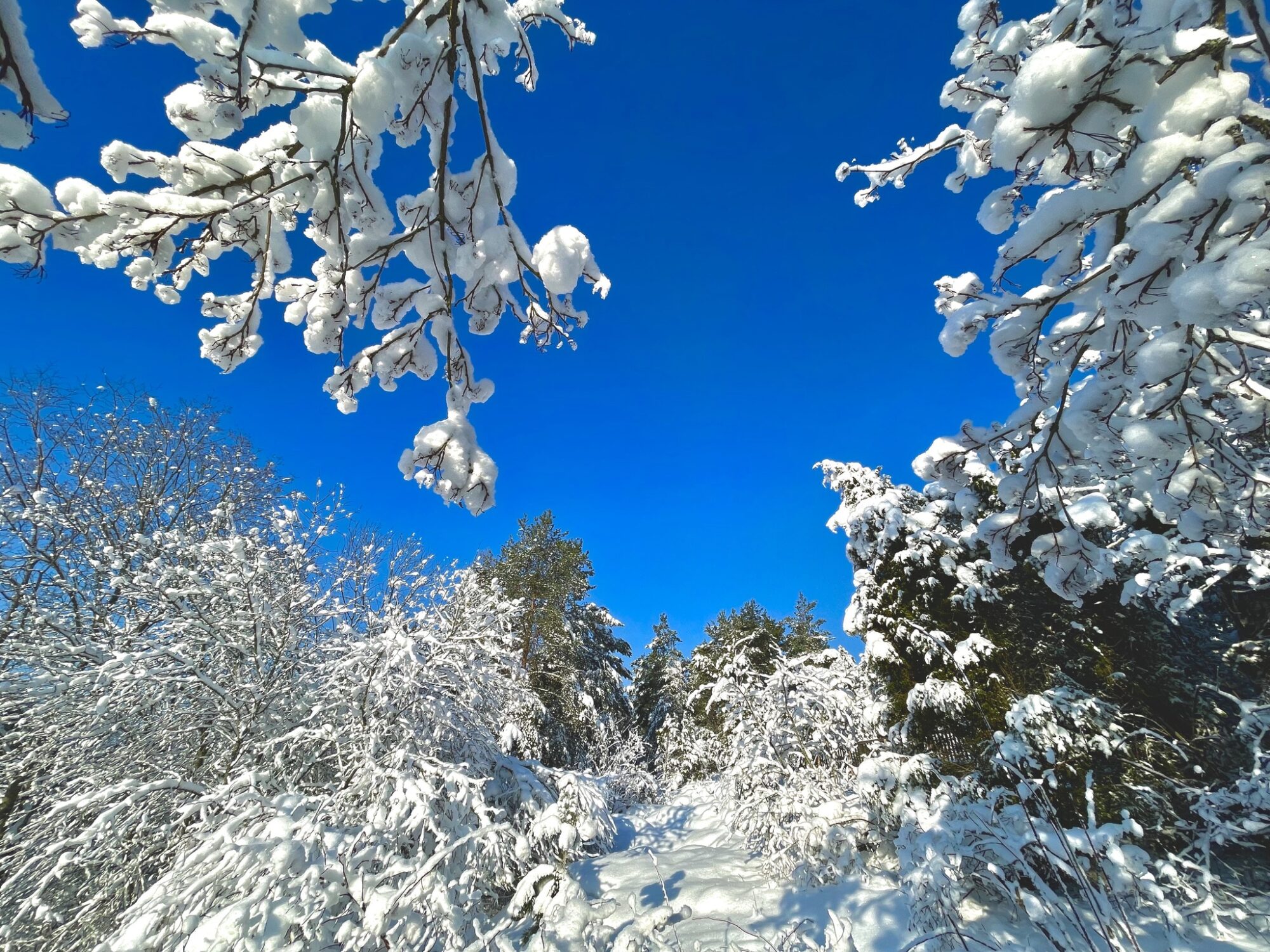 Valokuvaaja: Juhani Peltonen Valokuvaaja: Juhani Peltonen