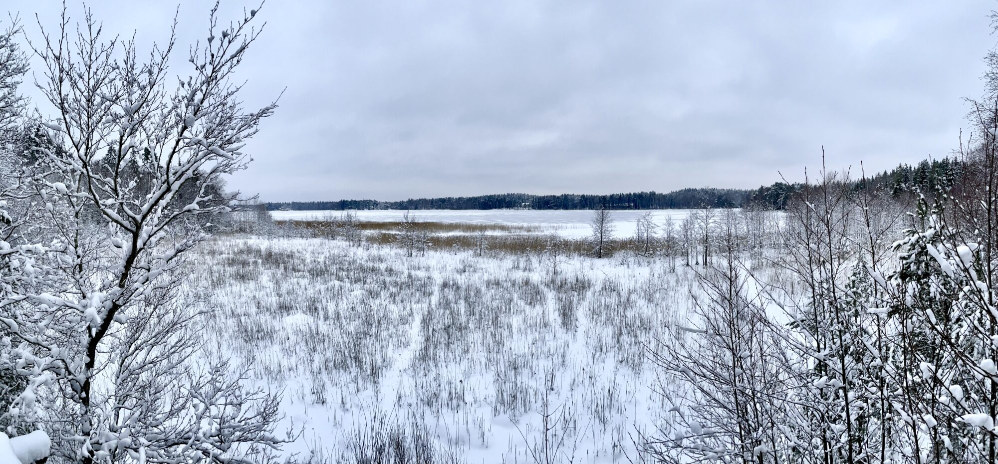 Valokuvaaja: Juhani Peltonen