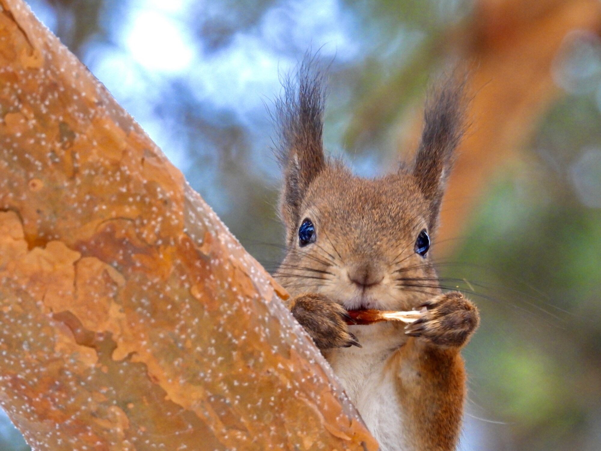 Valokuvaaja: Juhani Peltonen