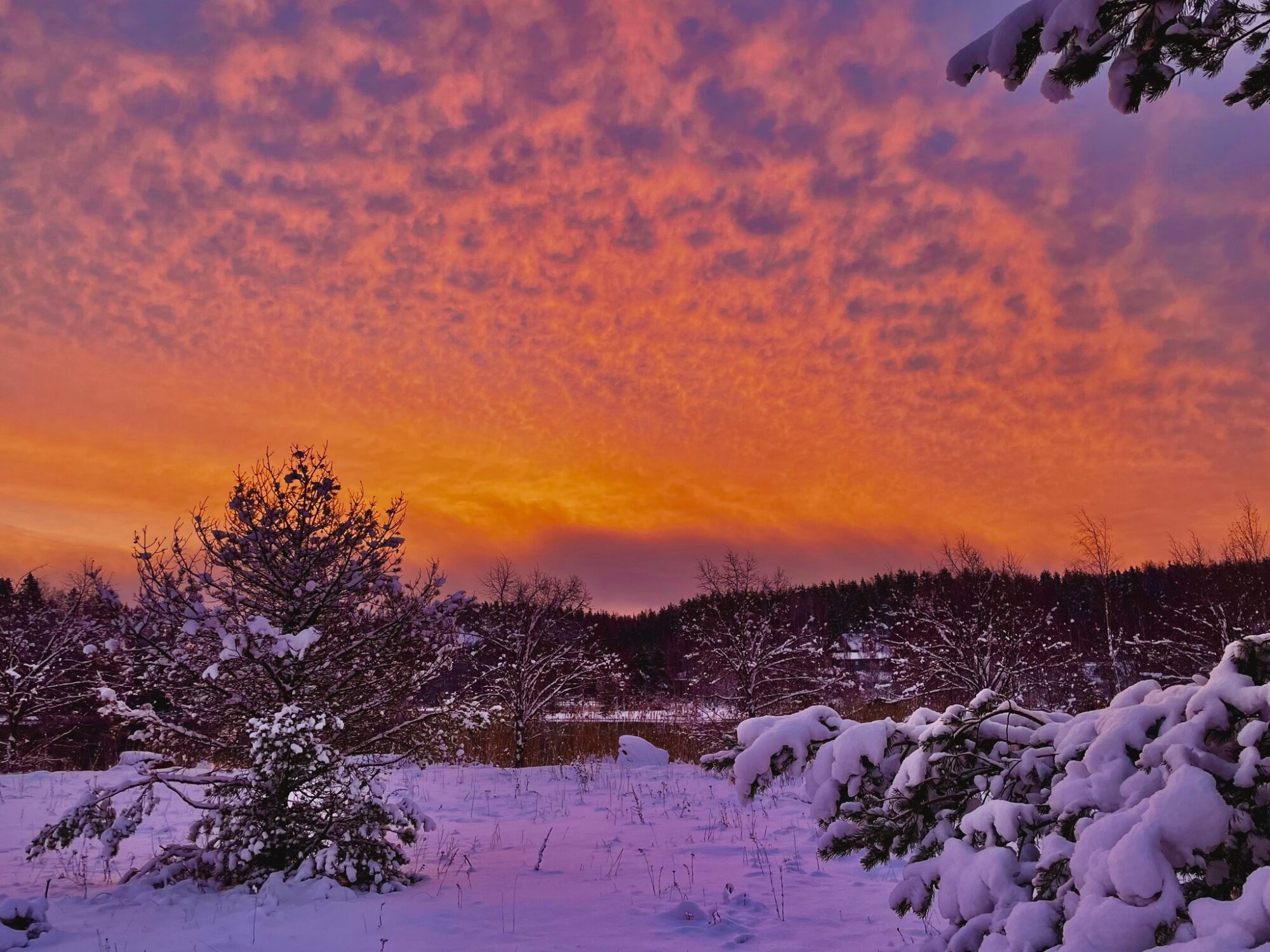 Valokuvaaja: Juhani Peltonen