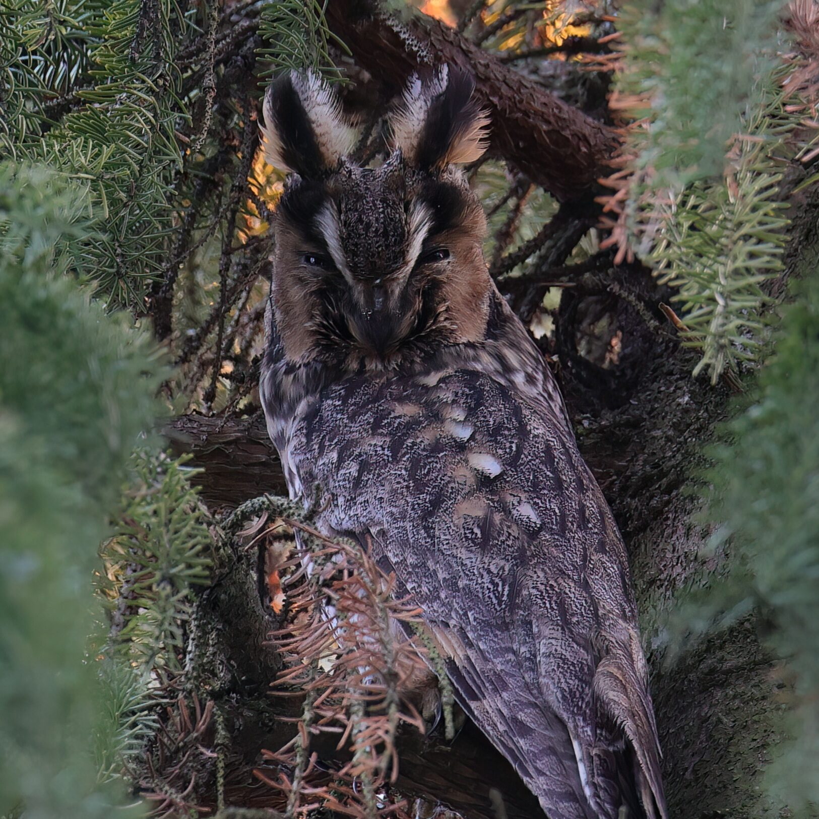 Valokuvaaja: Janne Salomeri