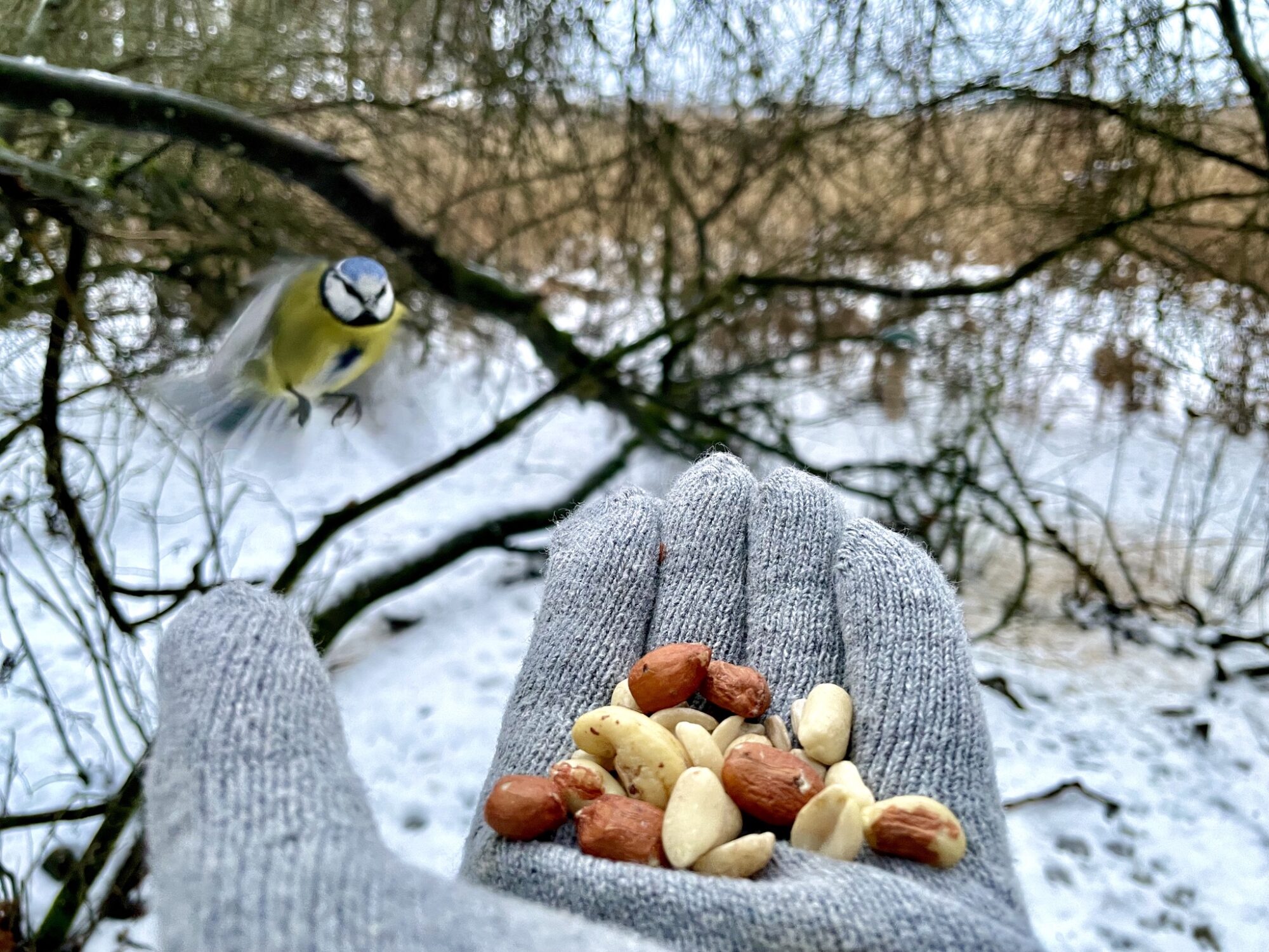 Valokuvaaja: Juhani Peltonen Valokuvaaja: Juhani Peltonen