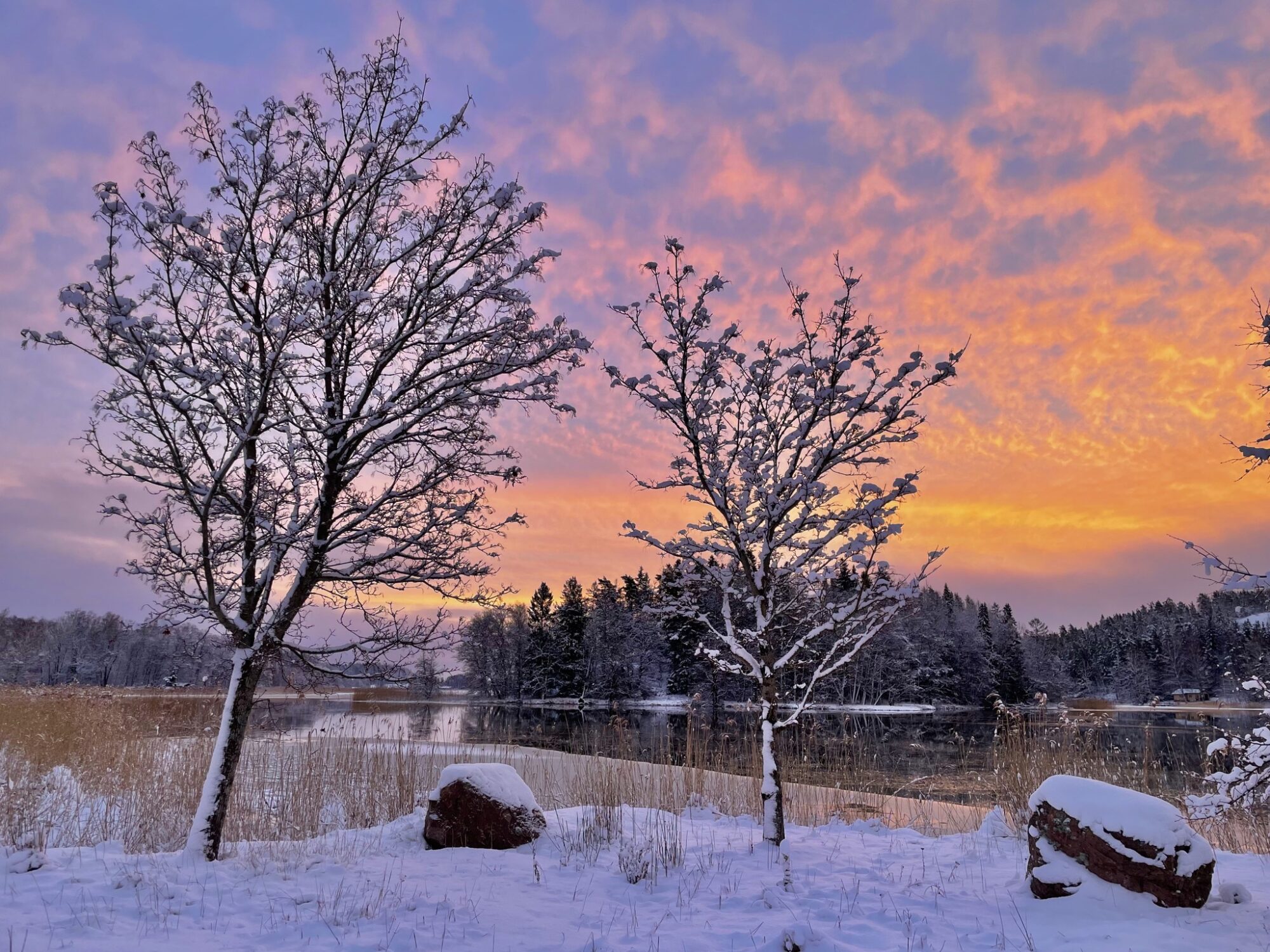 Valokuvaaja: Juhani Peltonen