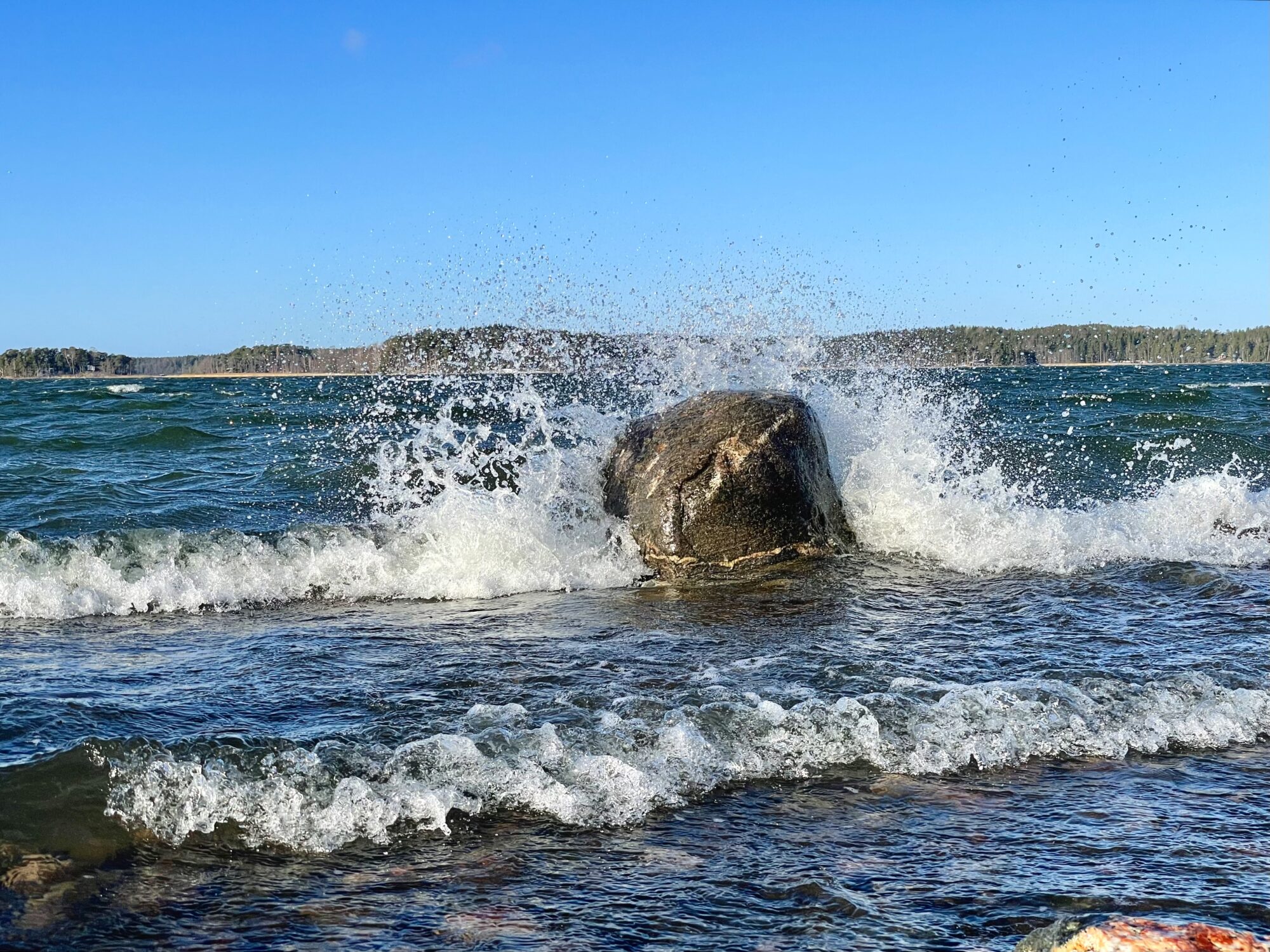 Valokuvaaja: Juhani Peltonen