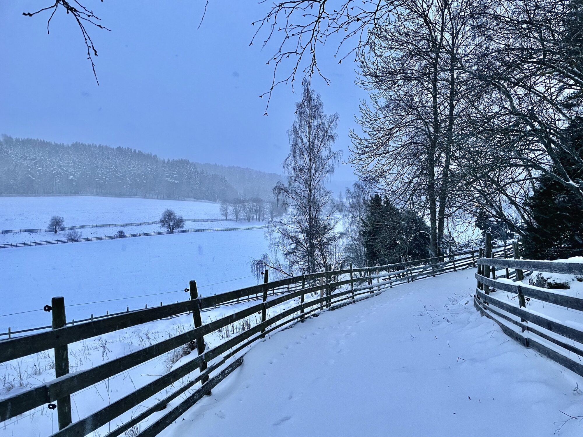 Valokuvaaja: Juhani Peltonen