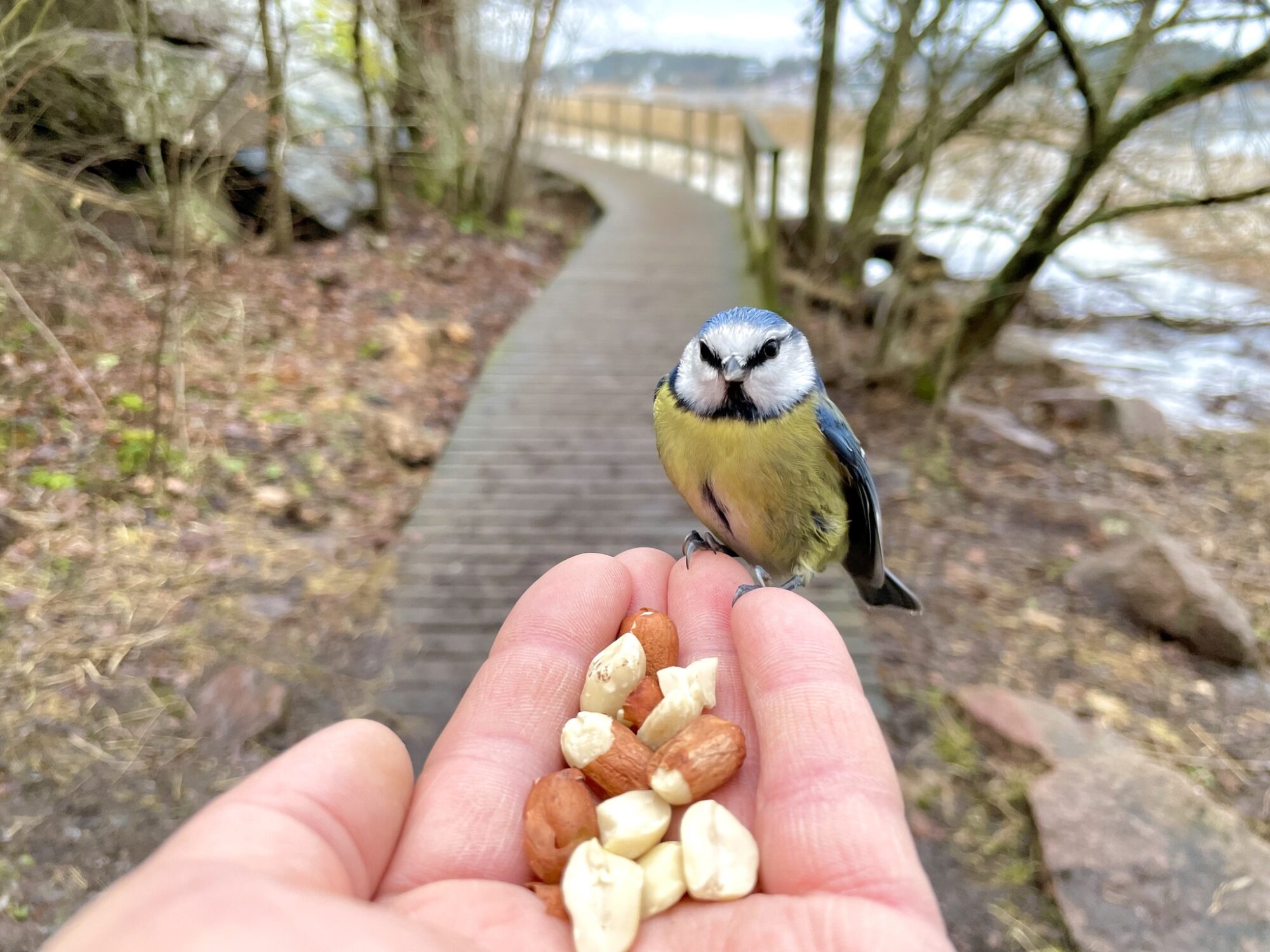 Valokuvaaja: Juhani Peltonen