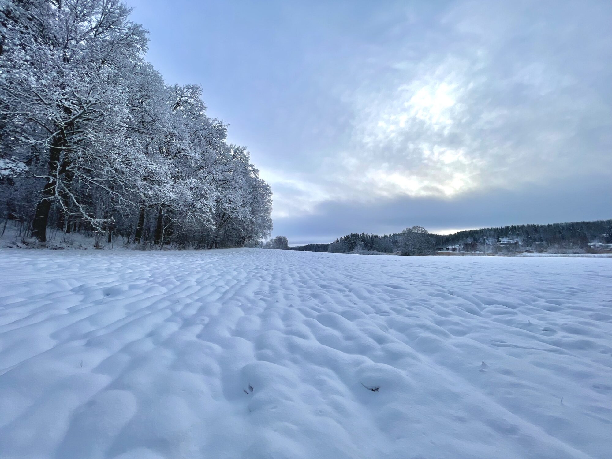 Valokuvaaja: Juhani Peltonen