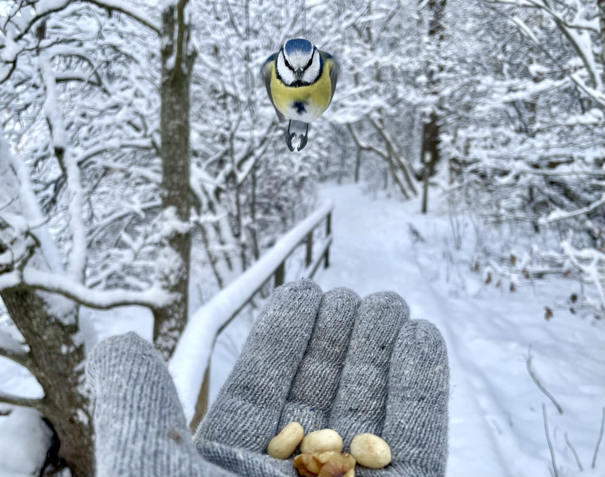 Valokuvaaja: Juhani Peltonen