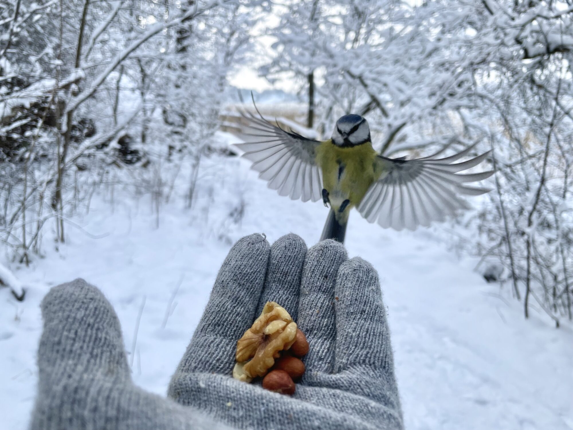 Valokuvaaja: Juhani Peltonen