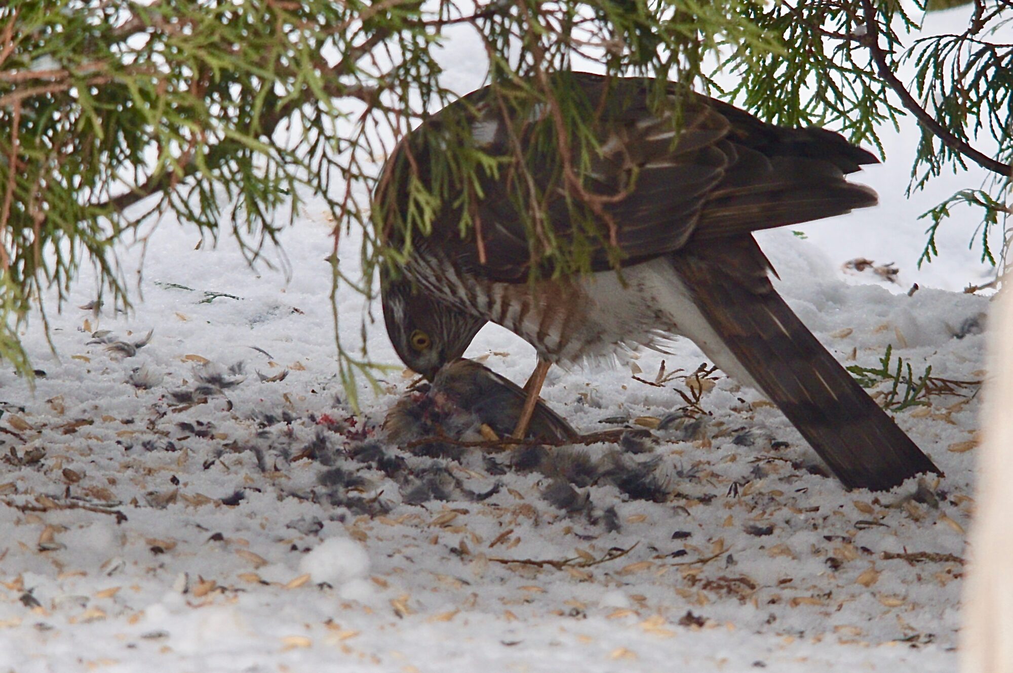 Valokuvaaja: Markku Ranta-Eilola