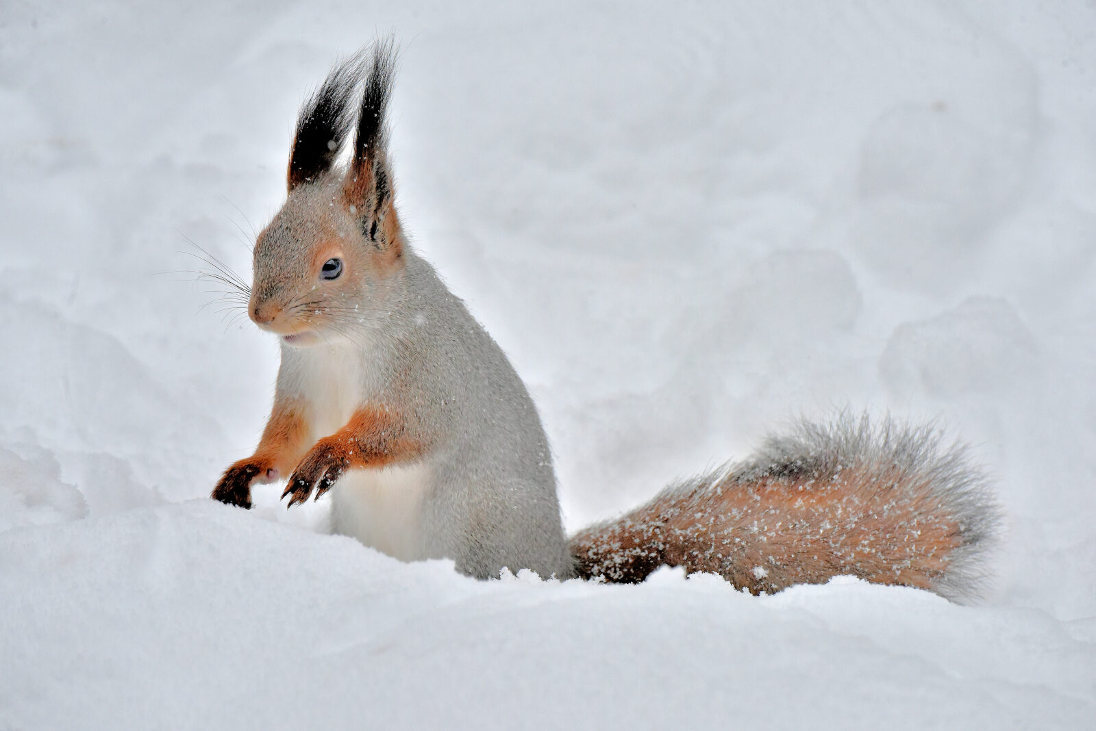Valokuvaaja: Reijo Juurinen