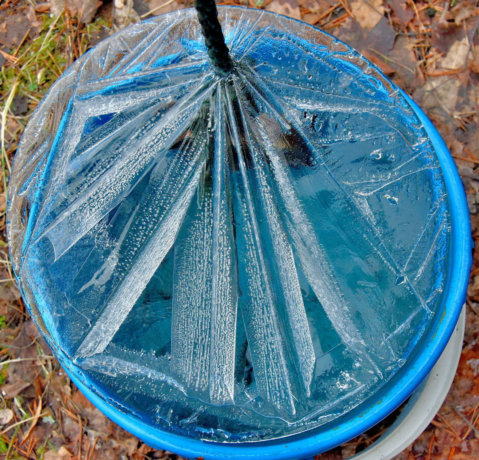 Valokuvaaja: Reijo Juurinen