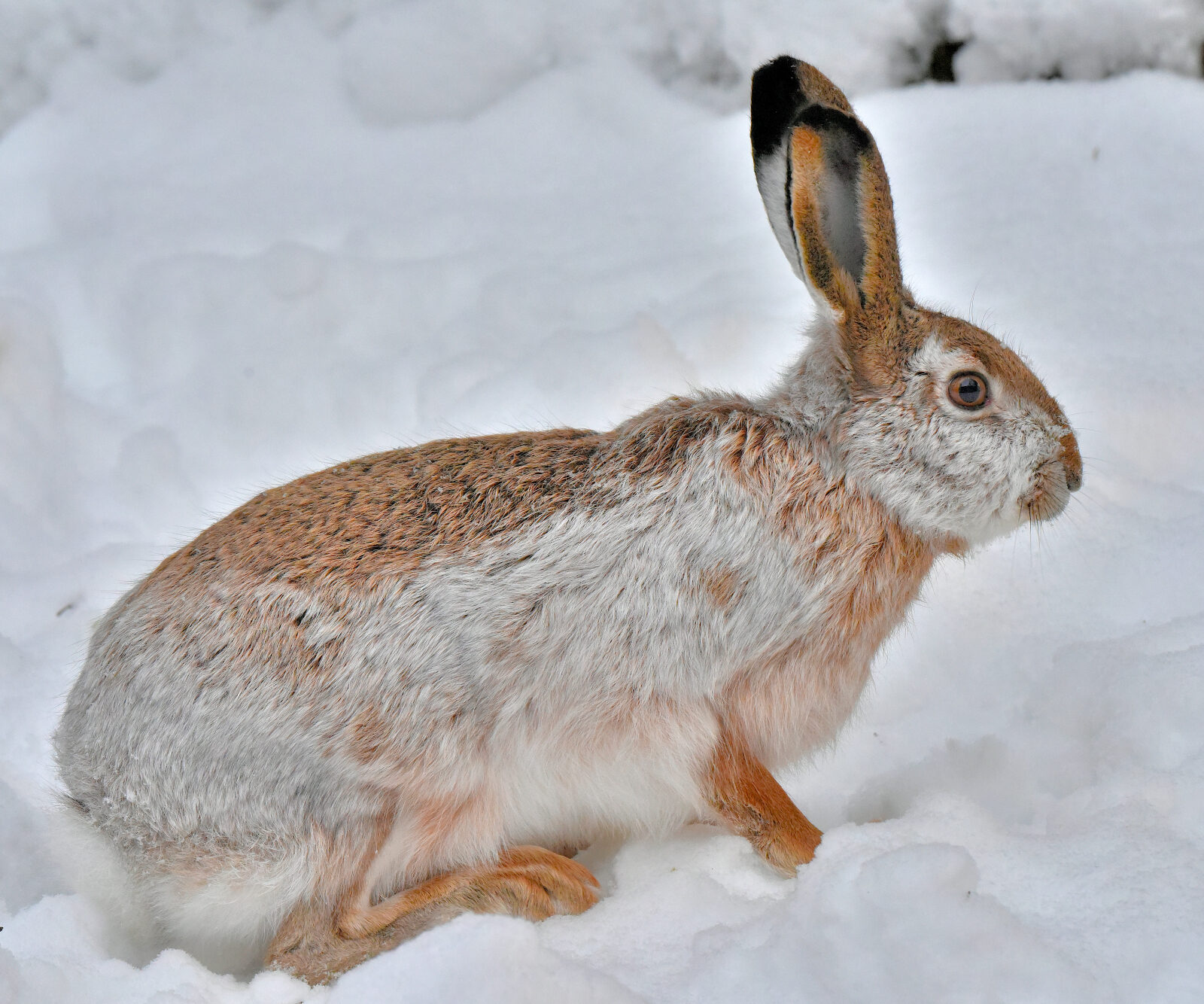 Valokuvaaja: Reijo Juurinen