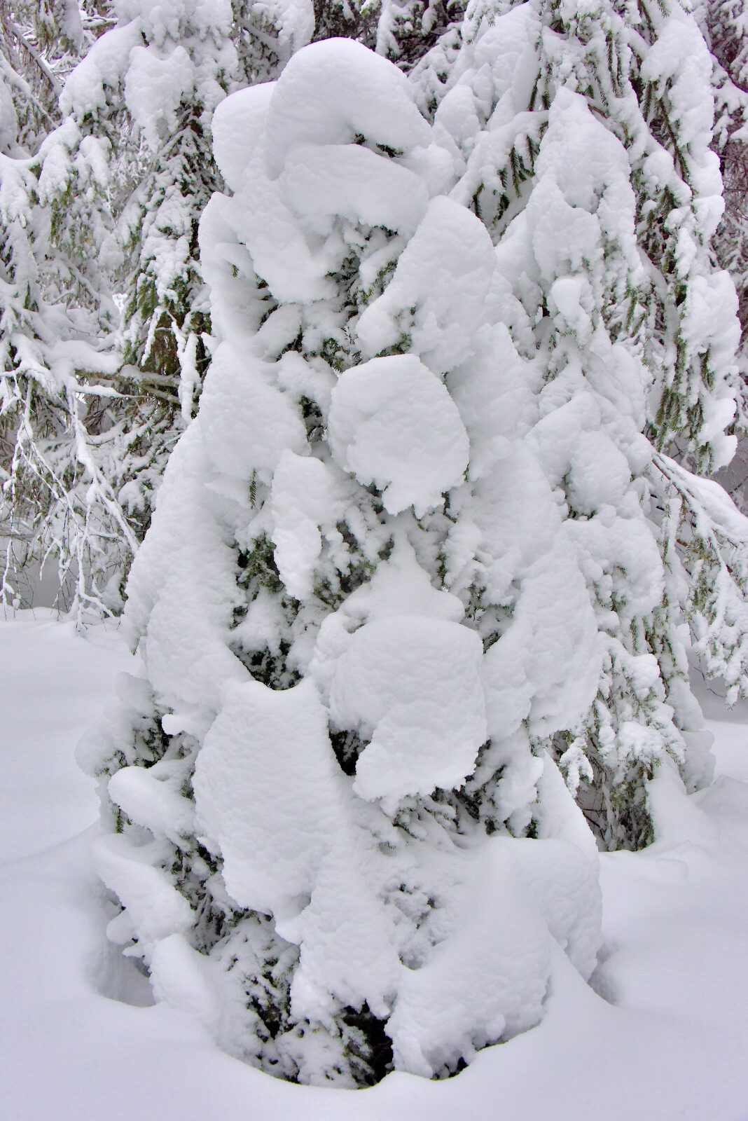 Valokuvaaja: Reijo Juurinen