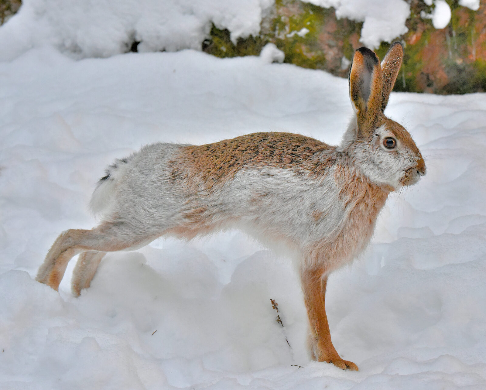 Valokuvaaja: Reijo Juurinen