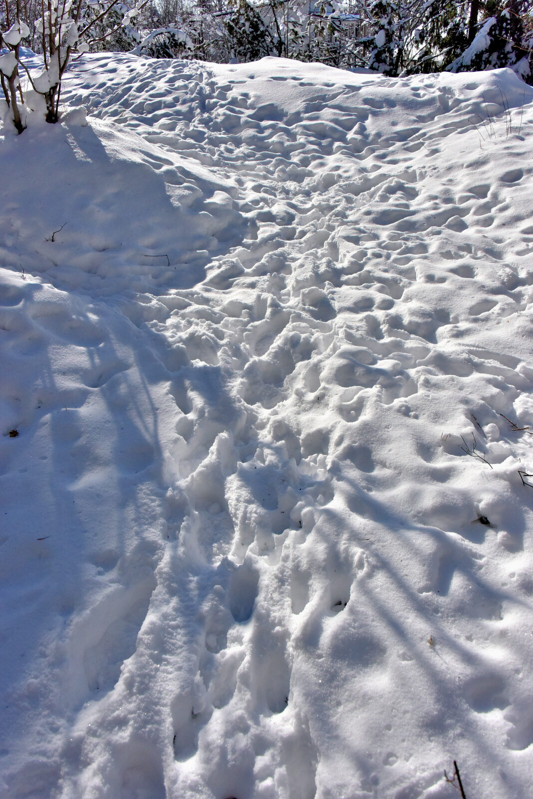 Valokuvaaja: Reijo Juurinen