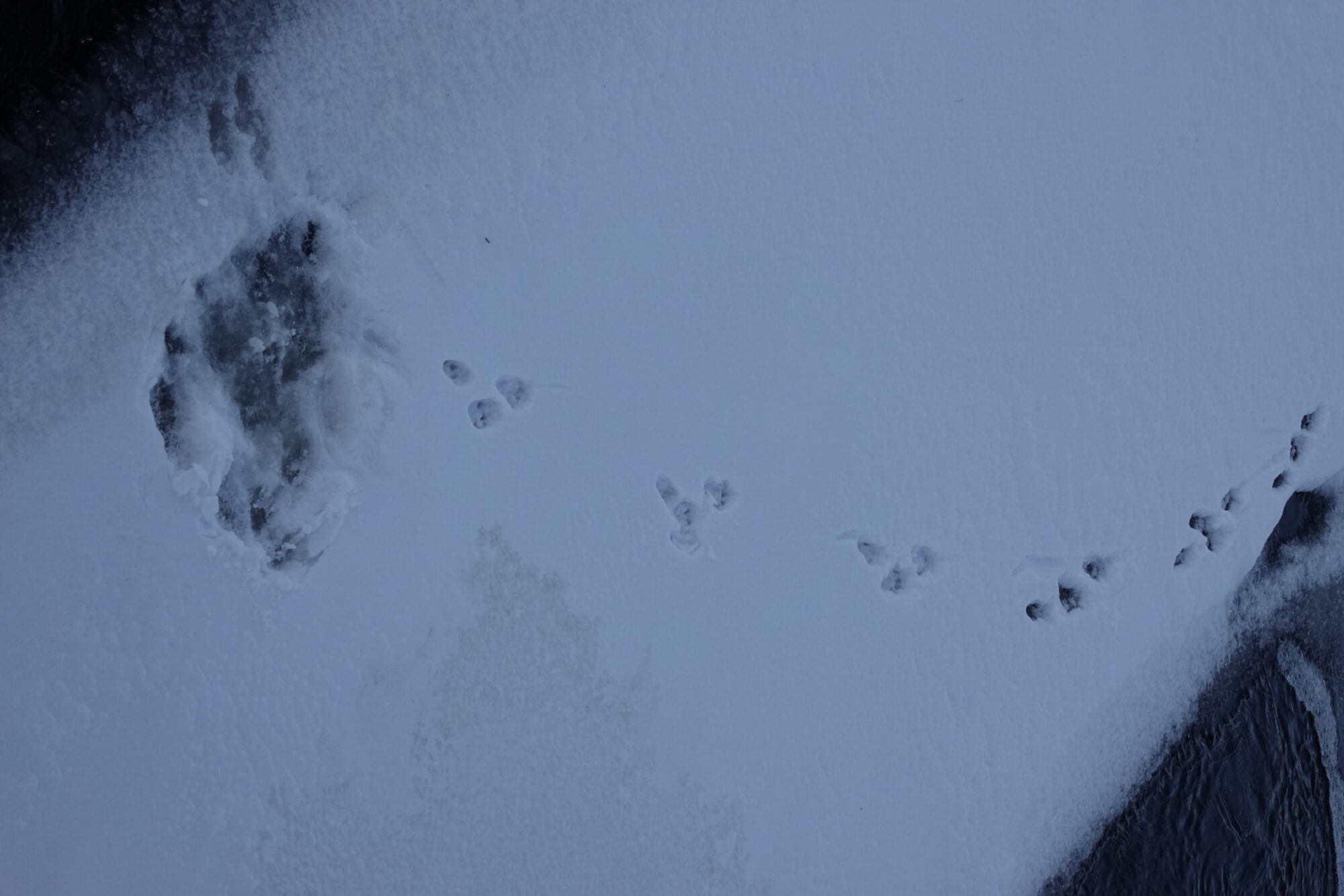 Valokuvaaja: Jenna Pitkänen