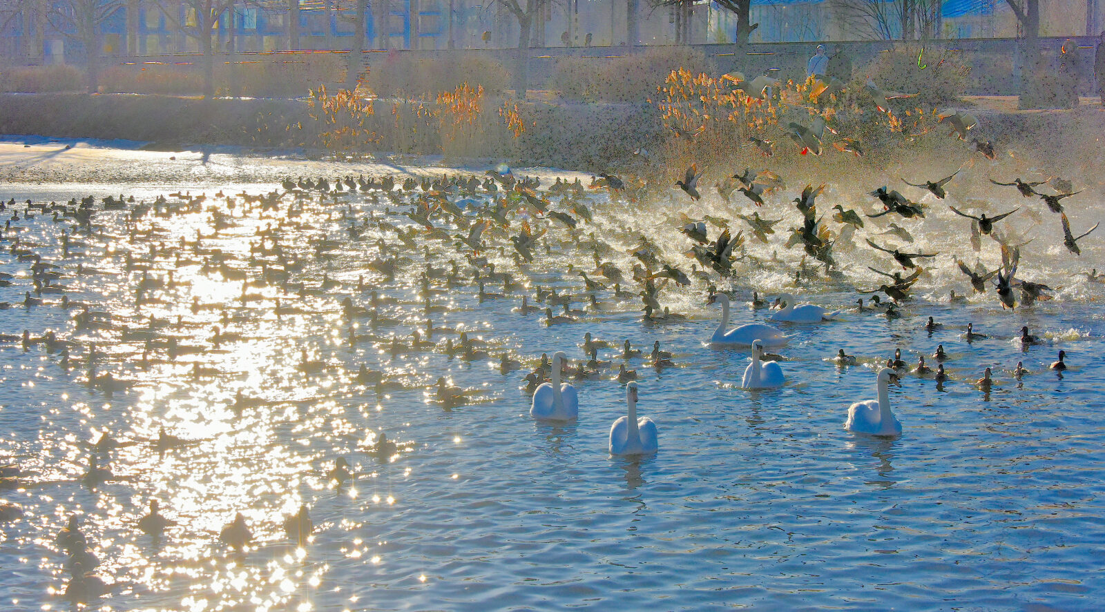 Valokuvaaja: Reijo Juurinen