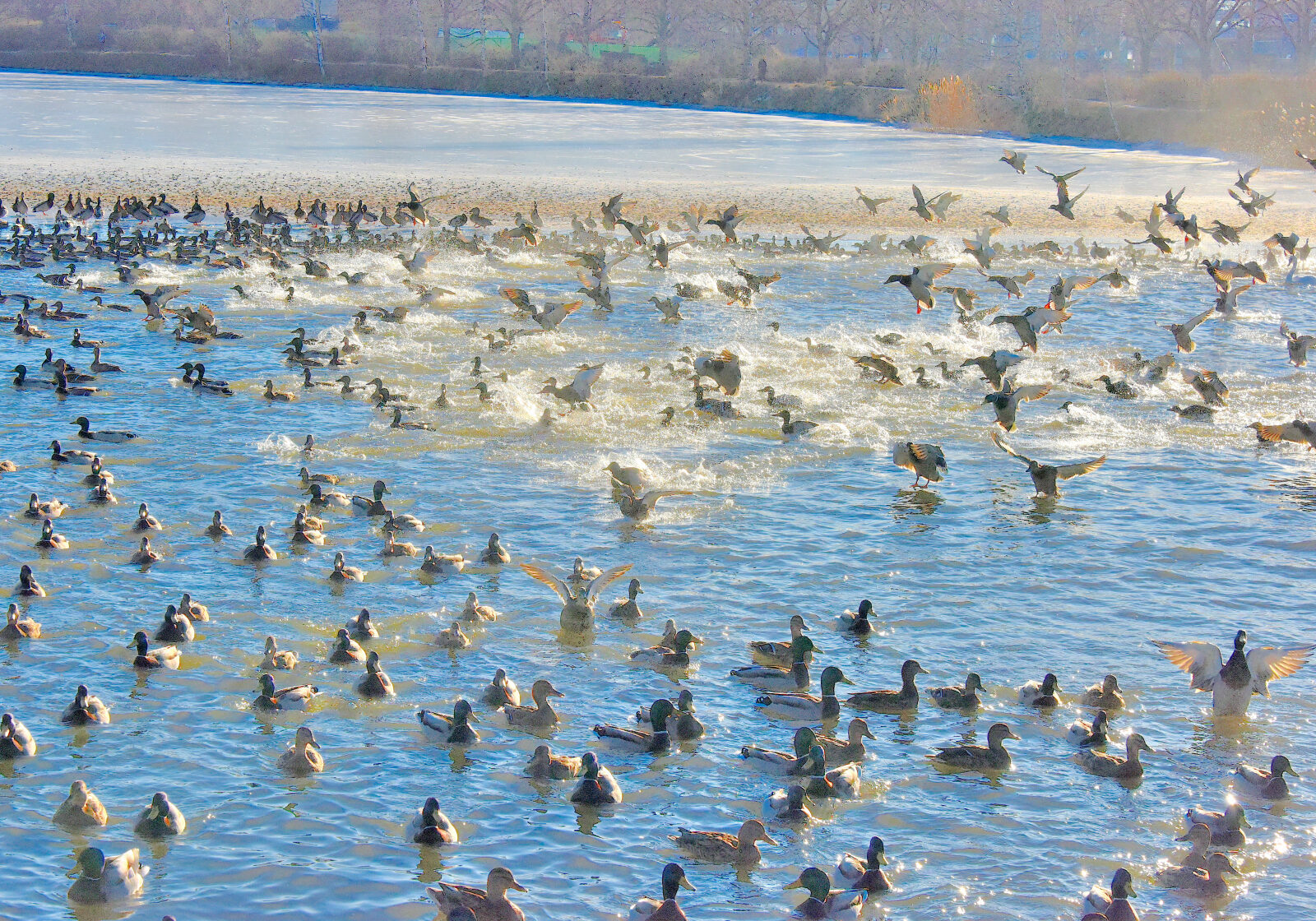 Valokuvaaja: Reijo Juurinen