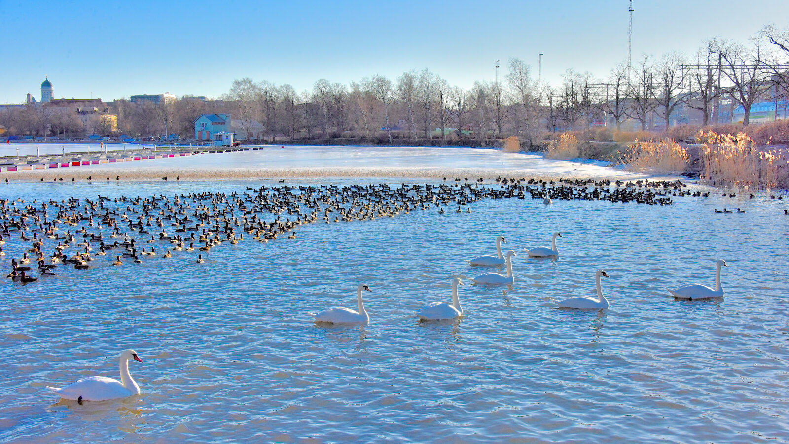 Valokuvaaja: Reijo Juurinen