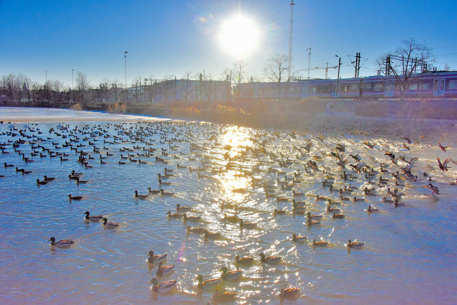 Valokuvaaja: Reijo Juurinen Valokuvaaja: Reijo Juurinen
