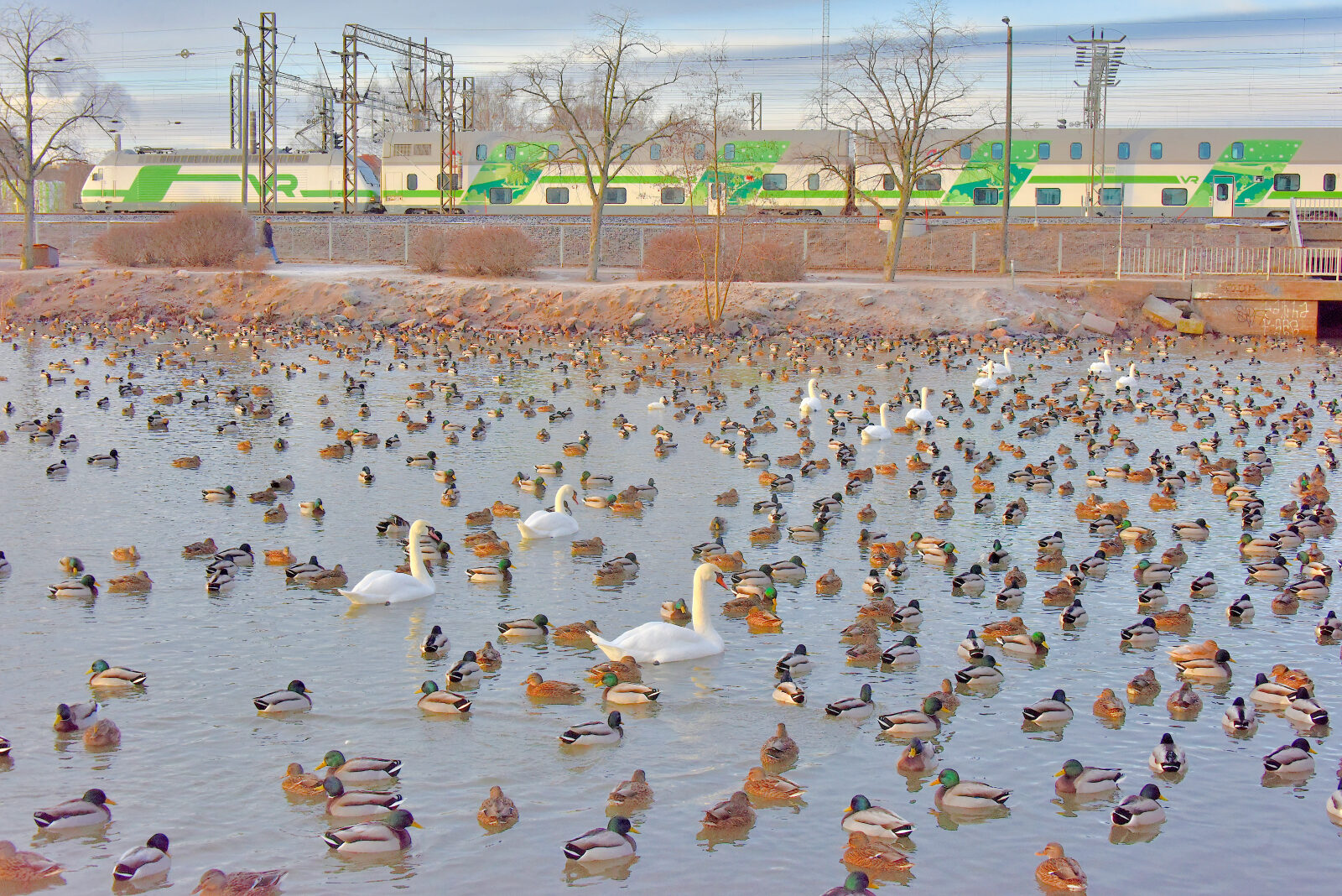 Valokuvaaja: Reijo Juurinen