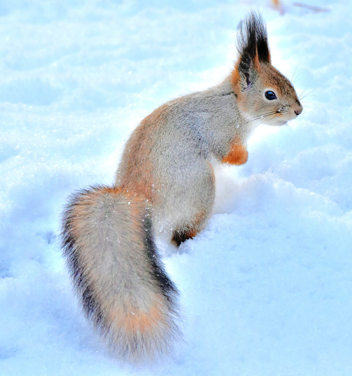 Valokuvaaja: Reijo Juurinen
