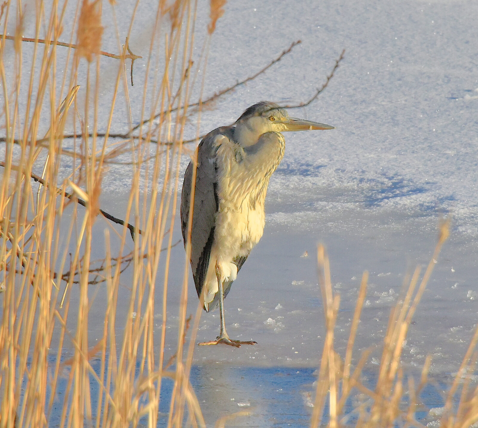 Valokuvaaja: Reijo Juurinen Valokuvaaja: Reijo Juurinen