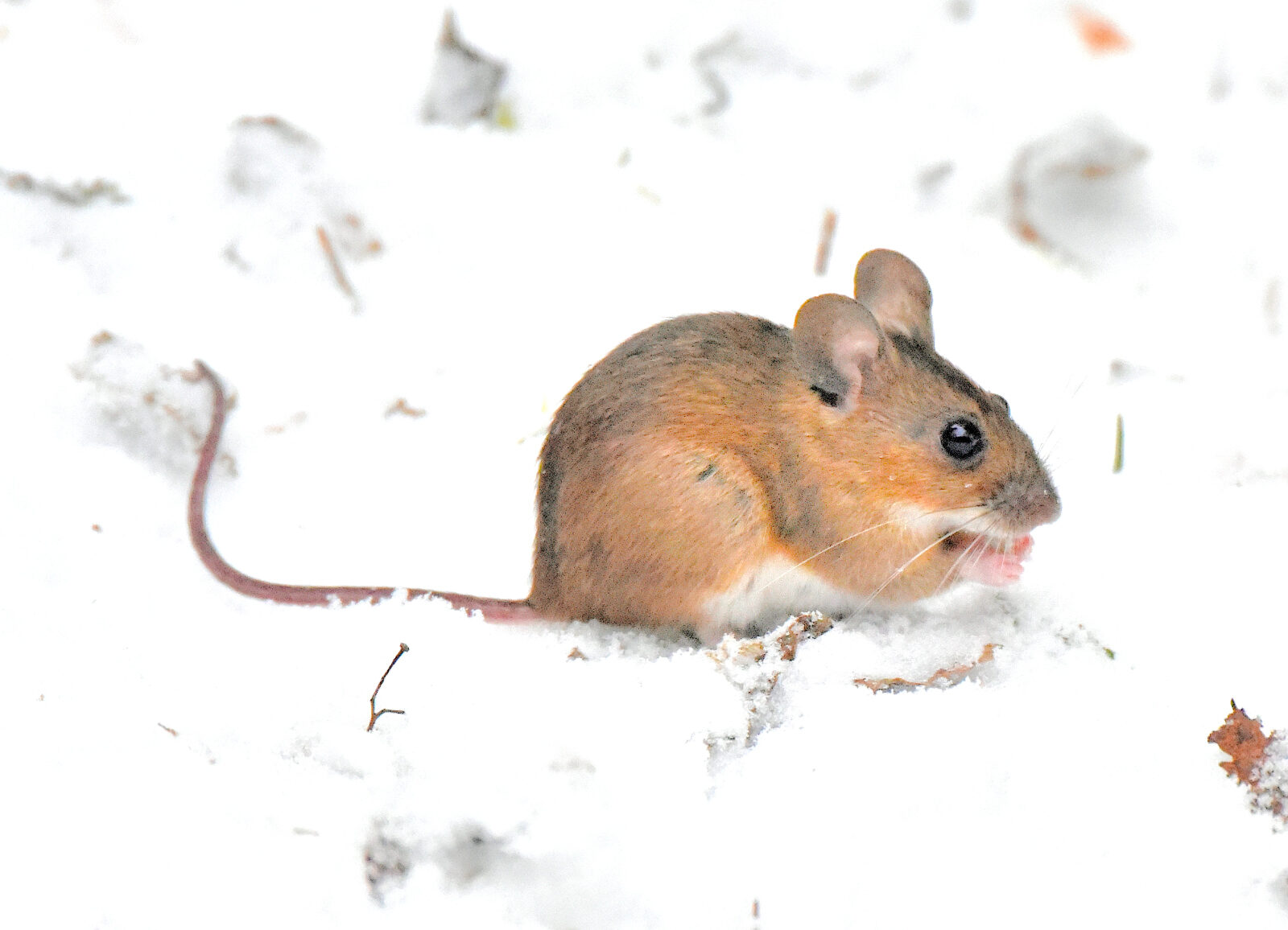Valokuvaaja: Reijo Juurinen