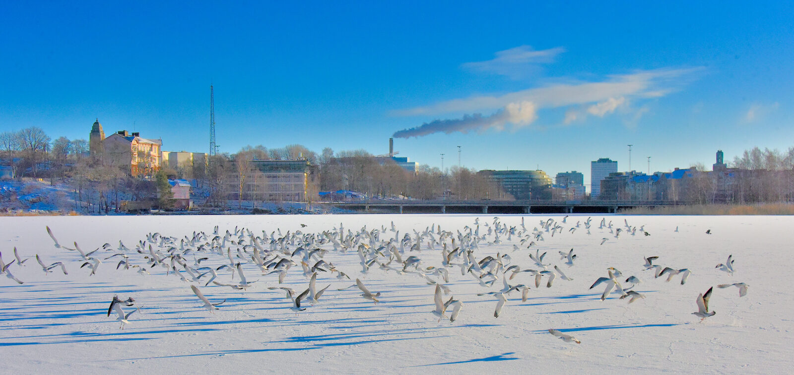 Valokuvaaja: Reijo Juurinen