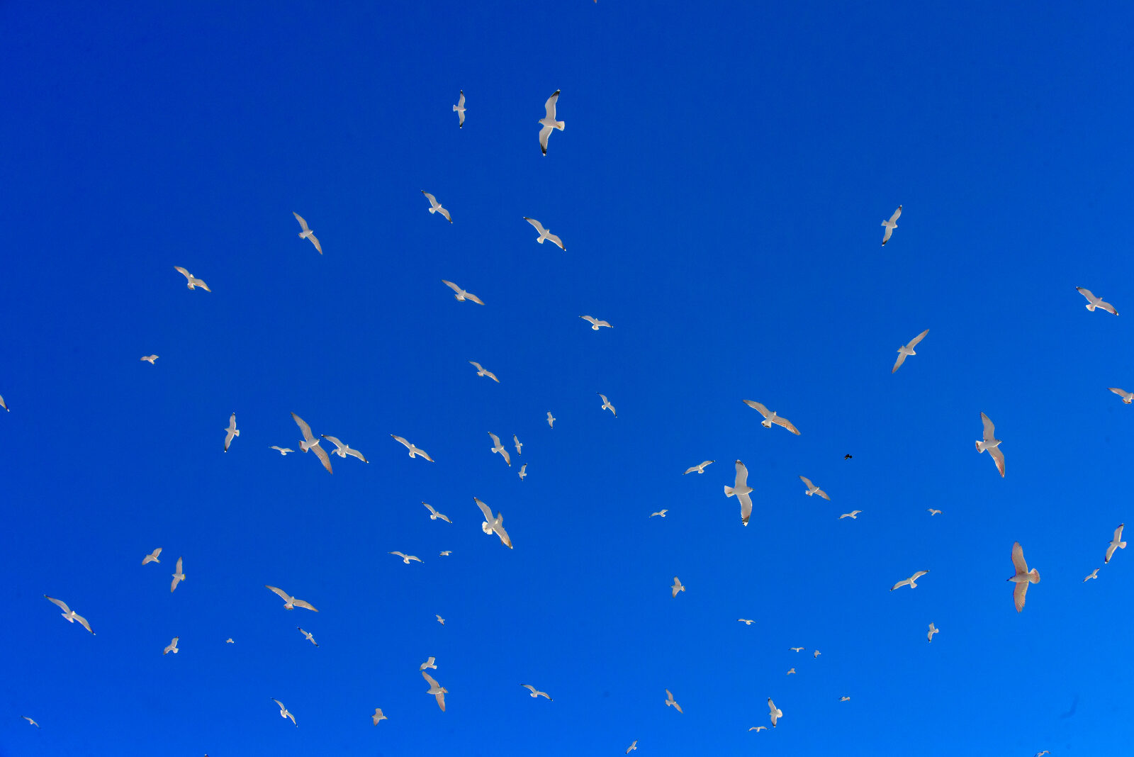 Valokuvaaja: Reijo Juurinen Valokuvaaja: Reijo Juurinen