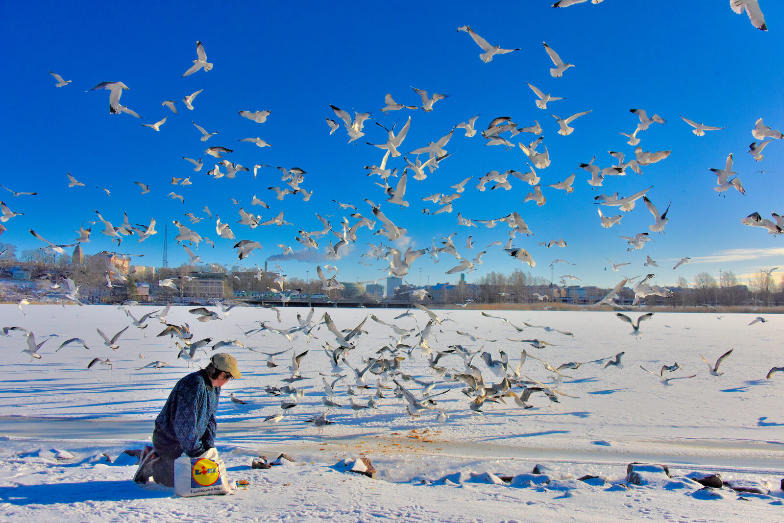 Valokuvaaja: Reijo Juurinen