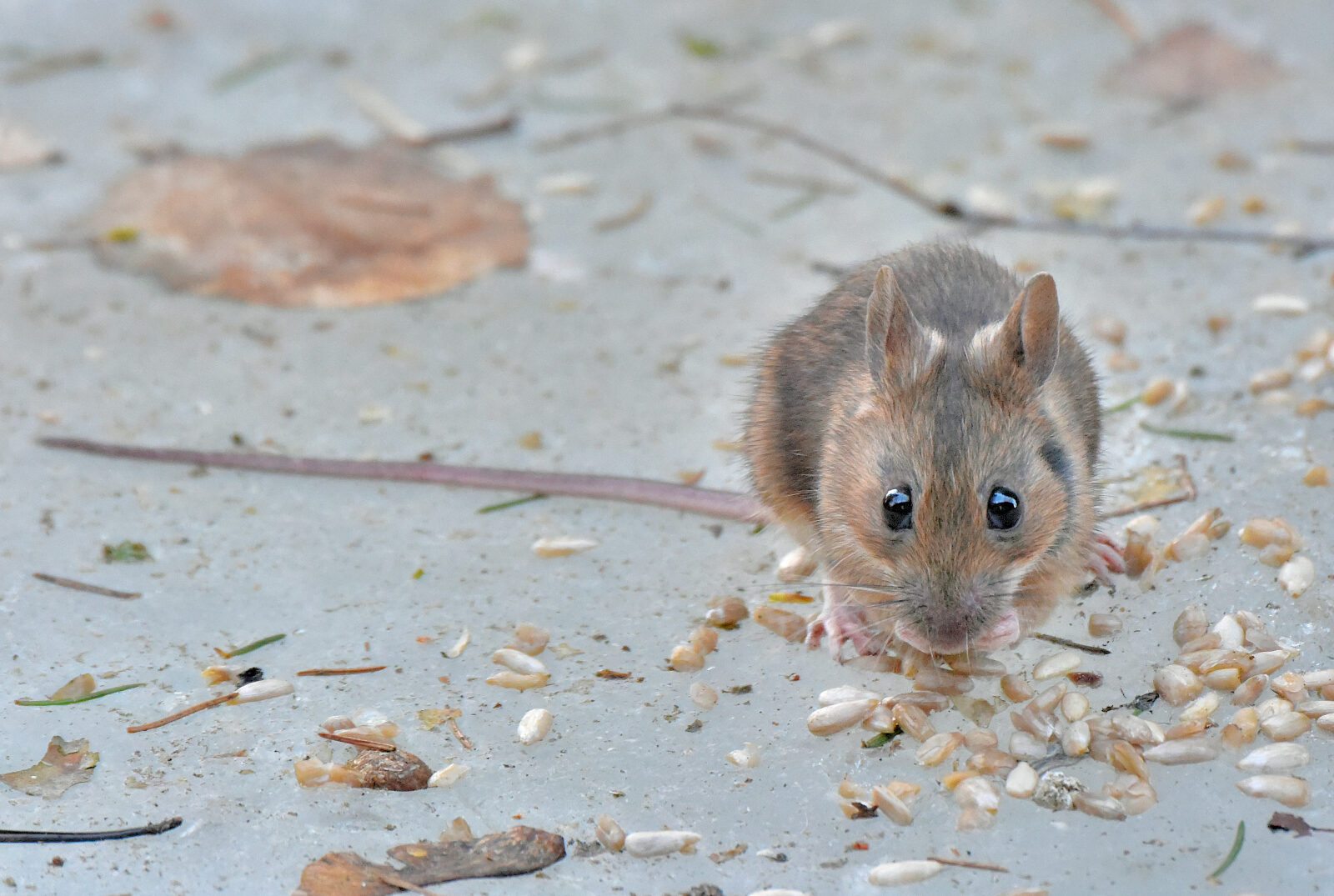 Valokuvaaja: Reijo Juurinen