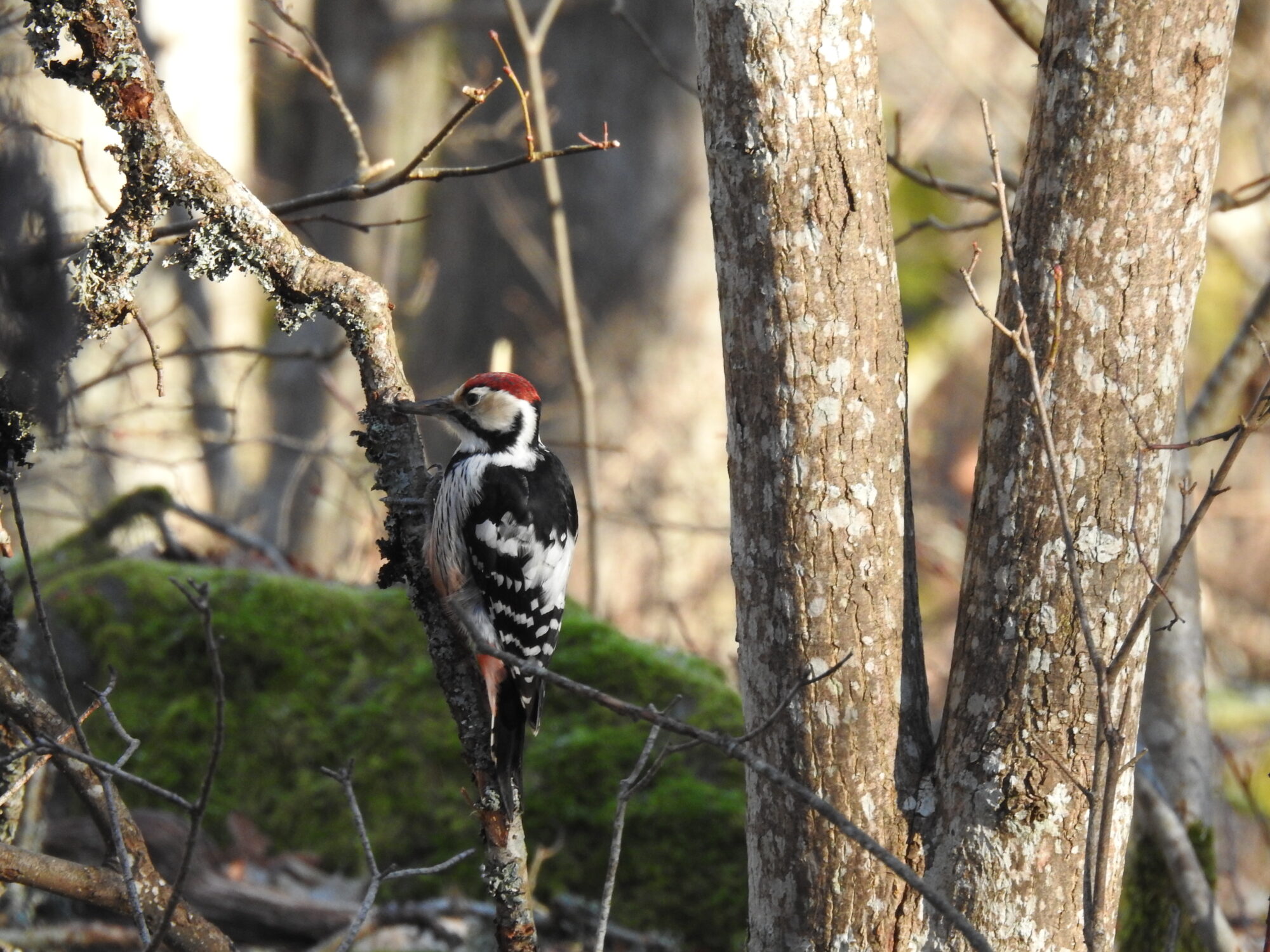 Valokuvaaja: Jarmo Mantere