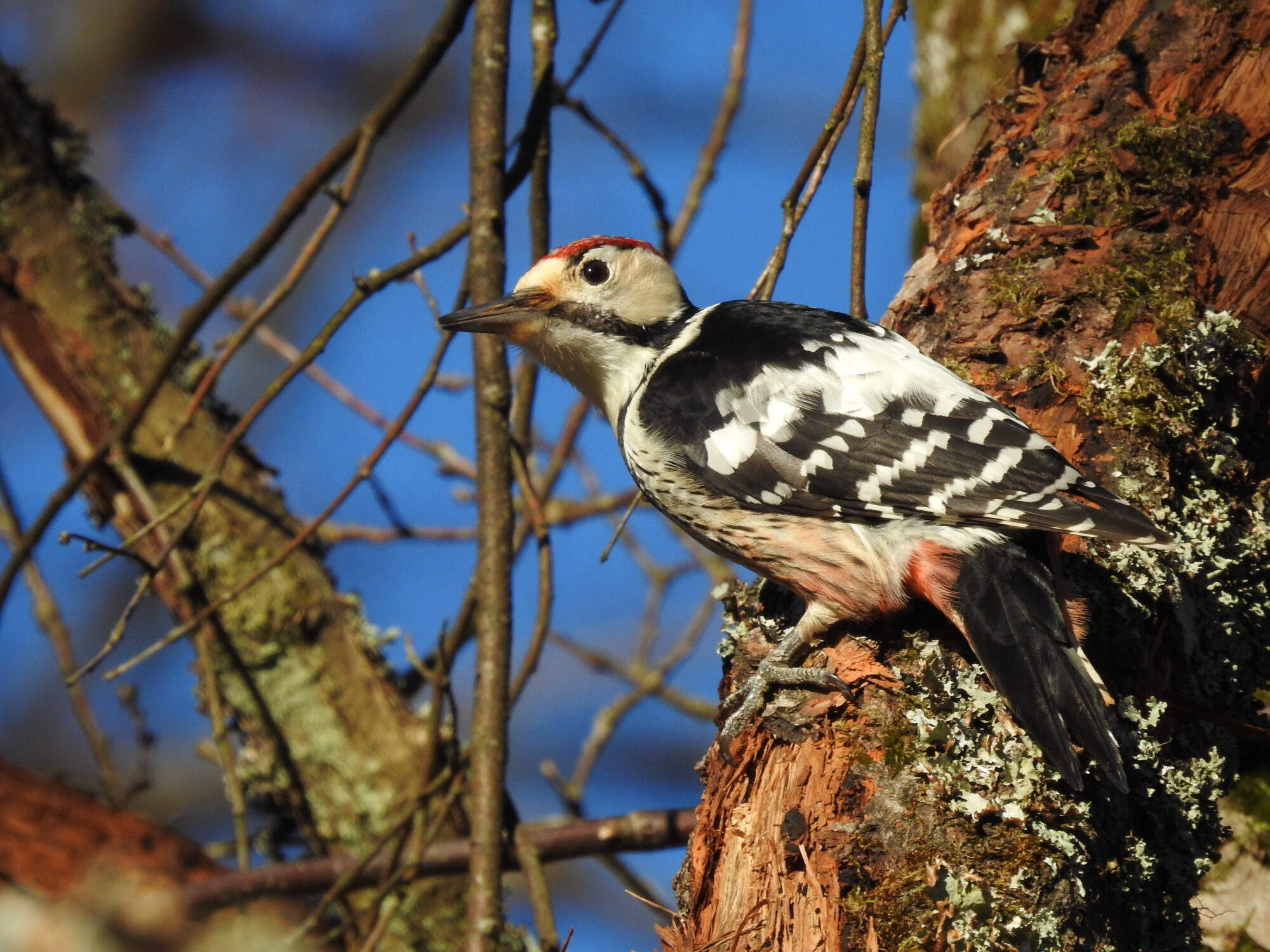 Valokuvaaja: Jarmo Mantere Valokuvaaja: Jarmo Mantere