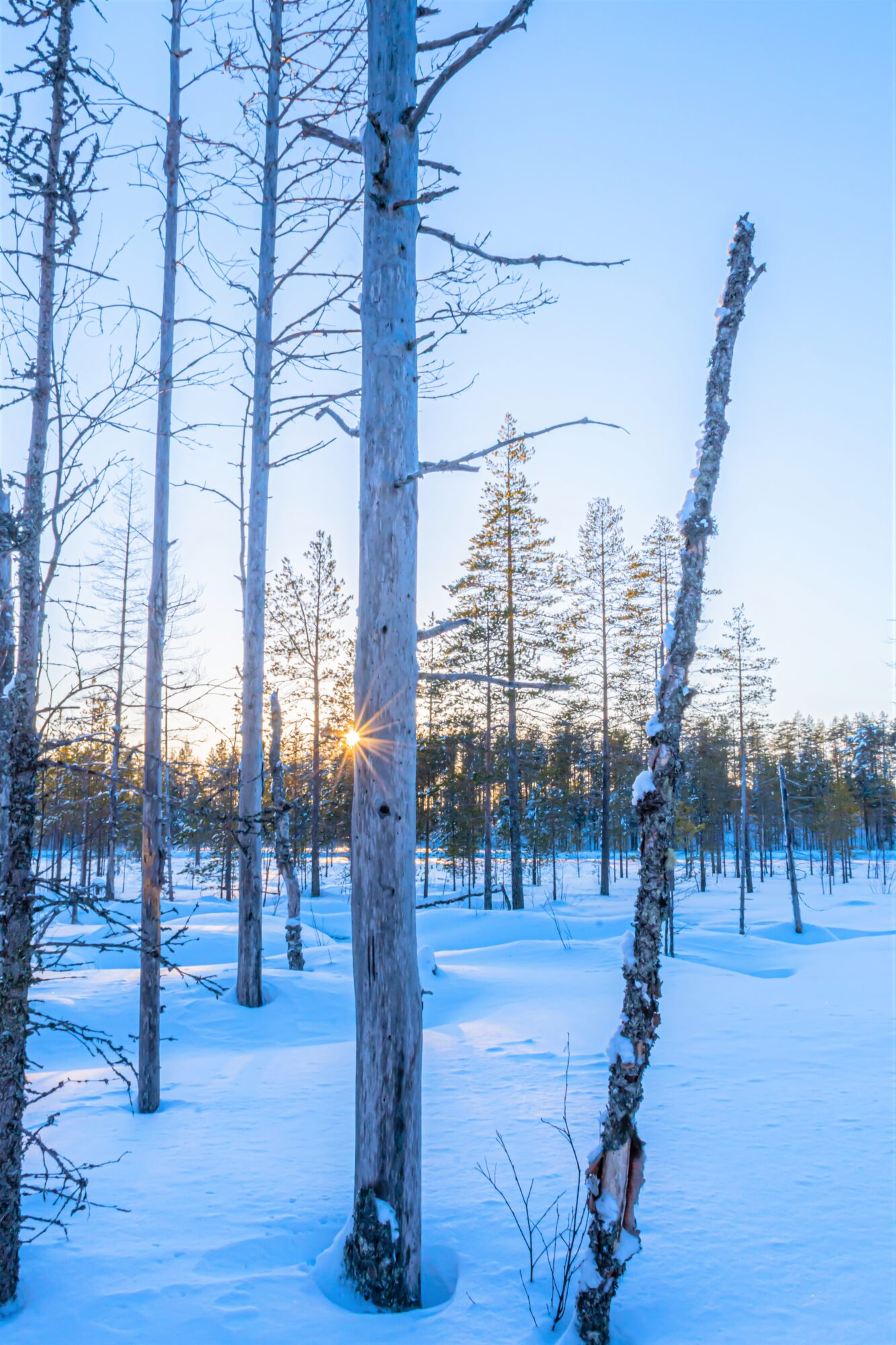 Valokuvaaja: Leena Rissanen