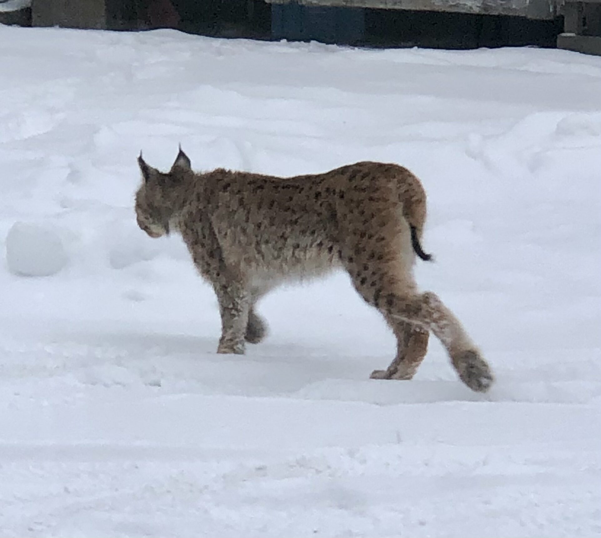 Valokuvaaja: Anna Huovinen